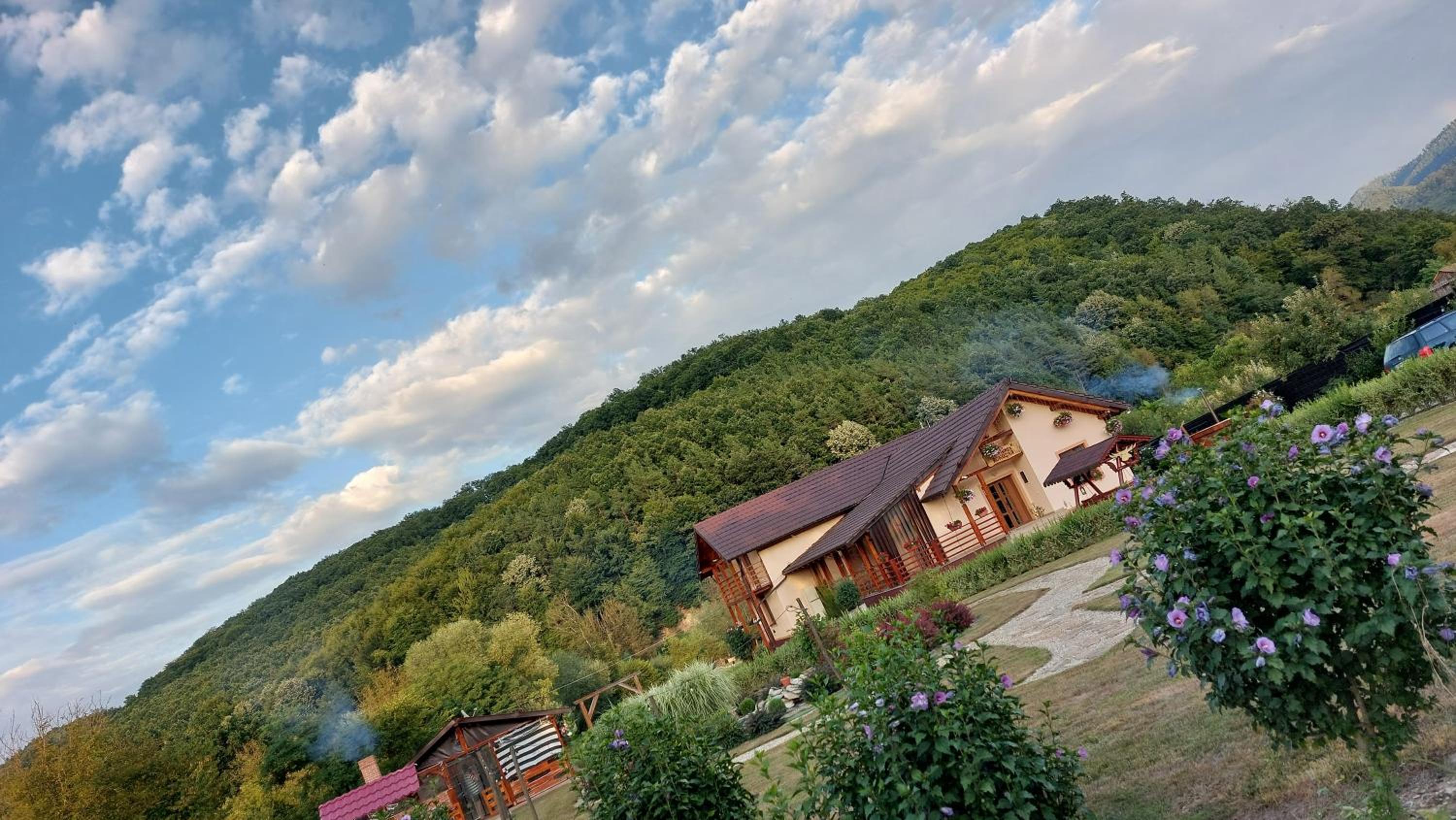 Pensiunea Romosan