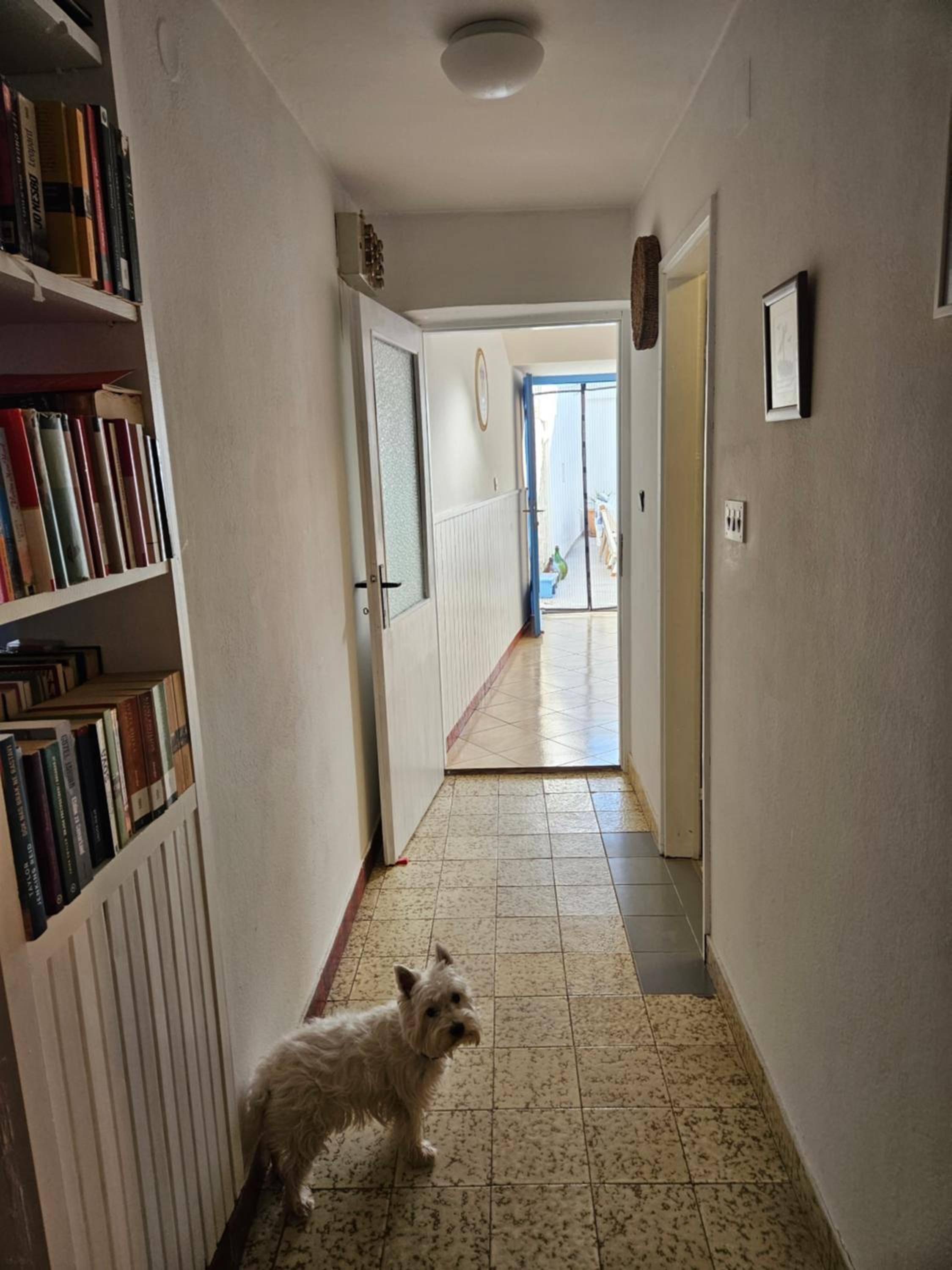 Plavo bijeli svijet