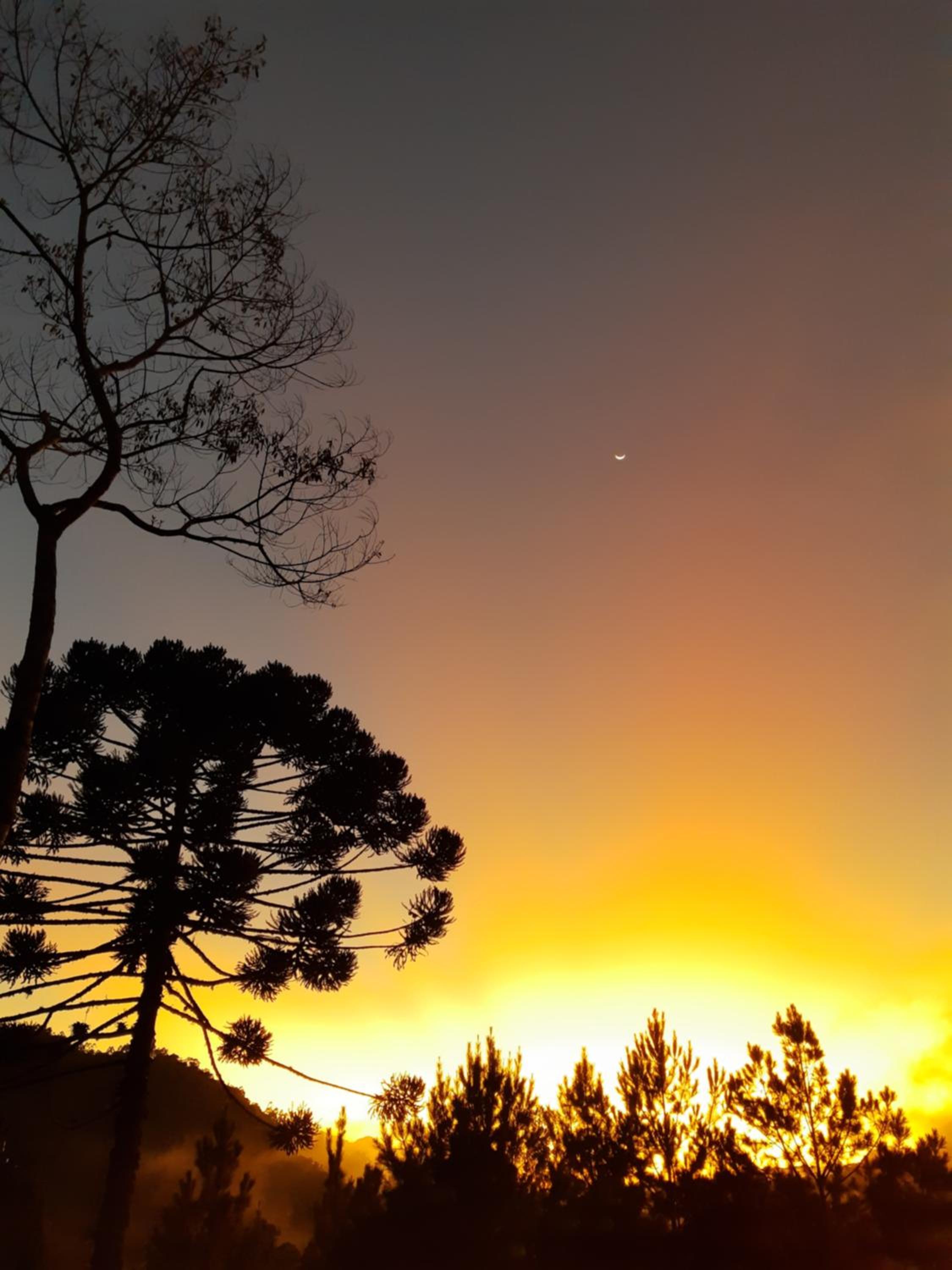 Vale Dos Pinheiros