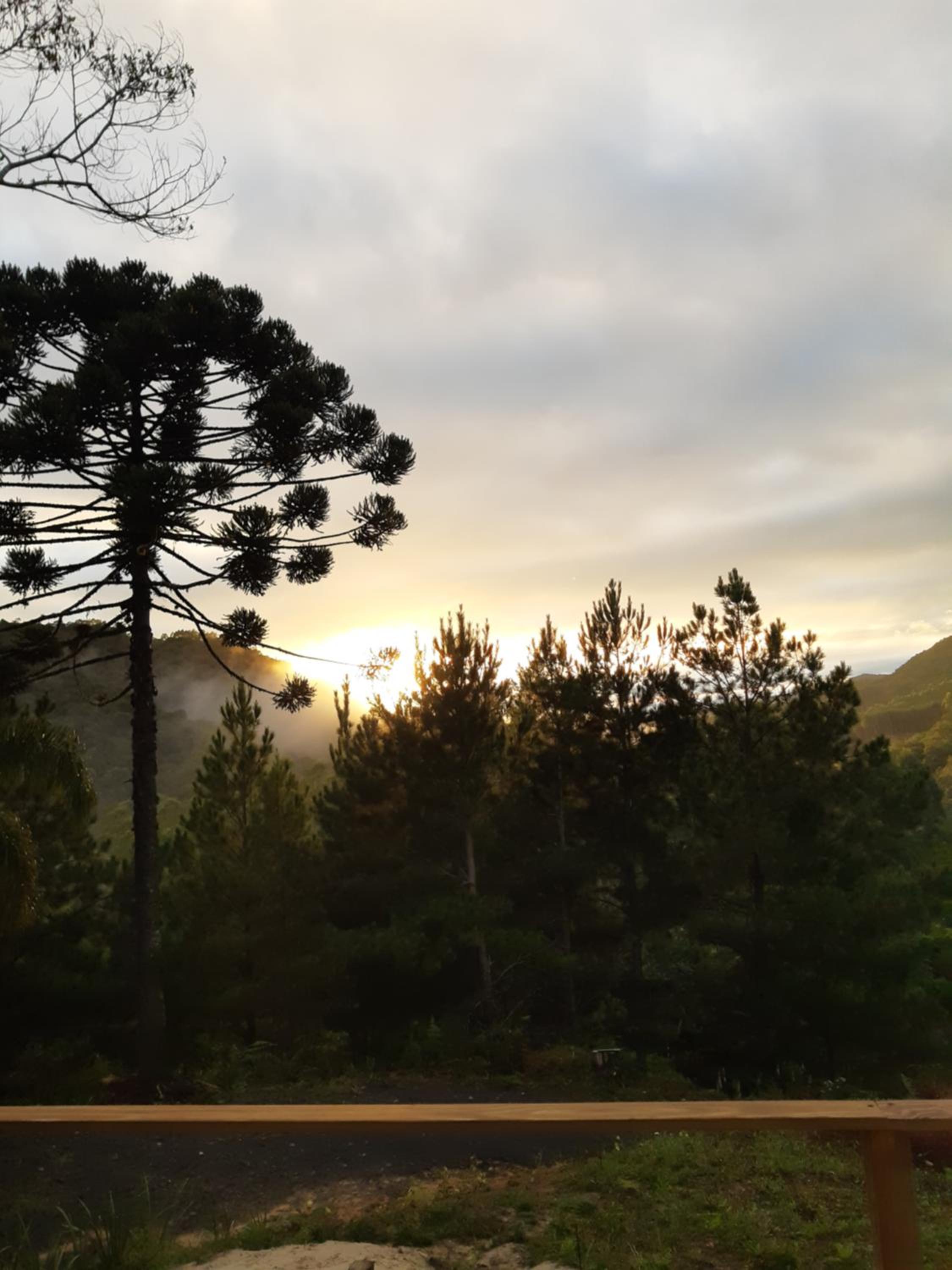 Vale Dos Pinheiros