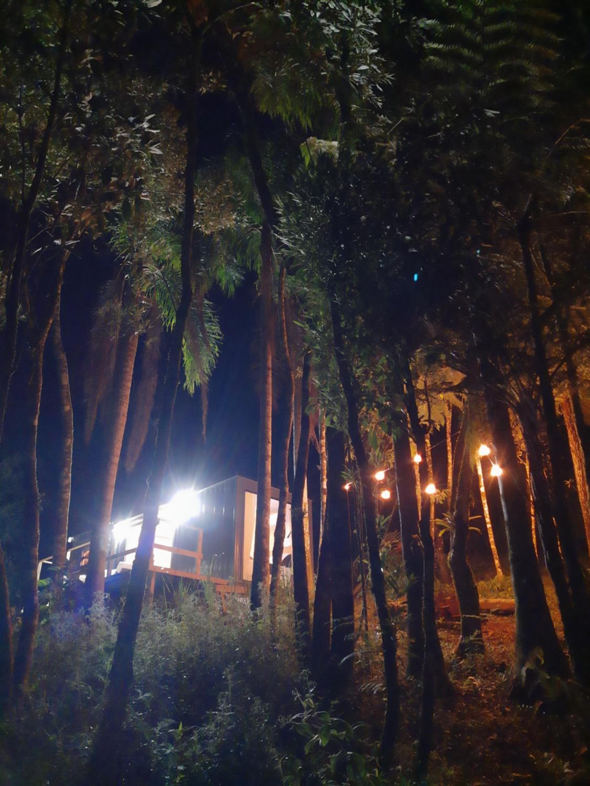 Vale Dos Pinheiros