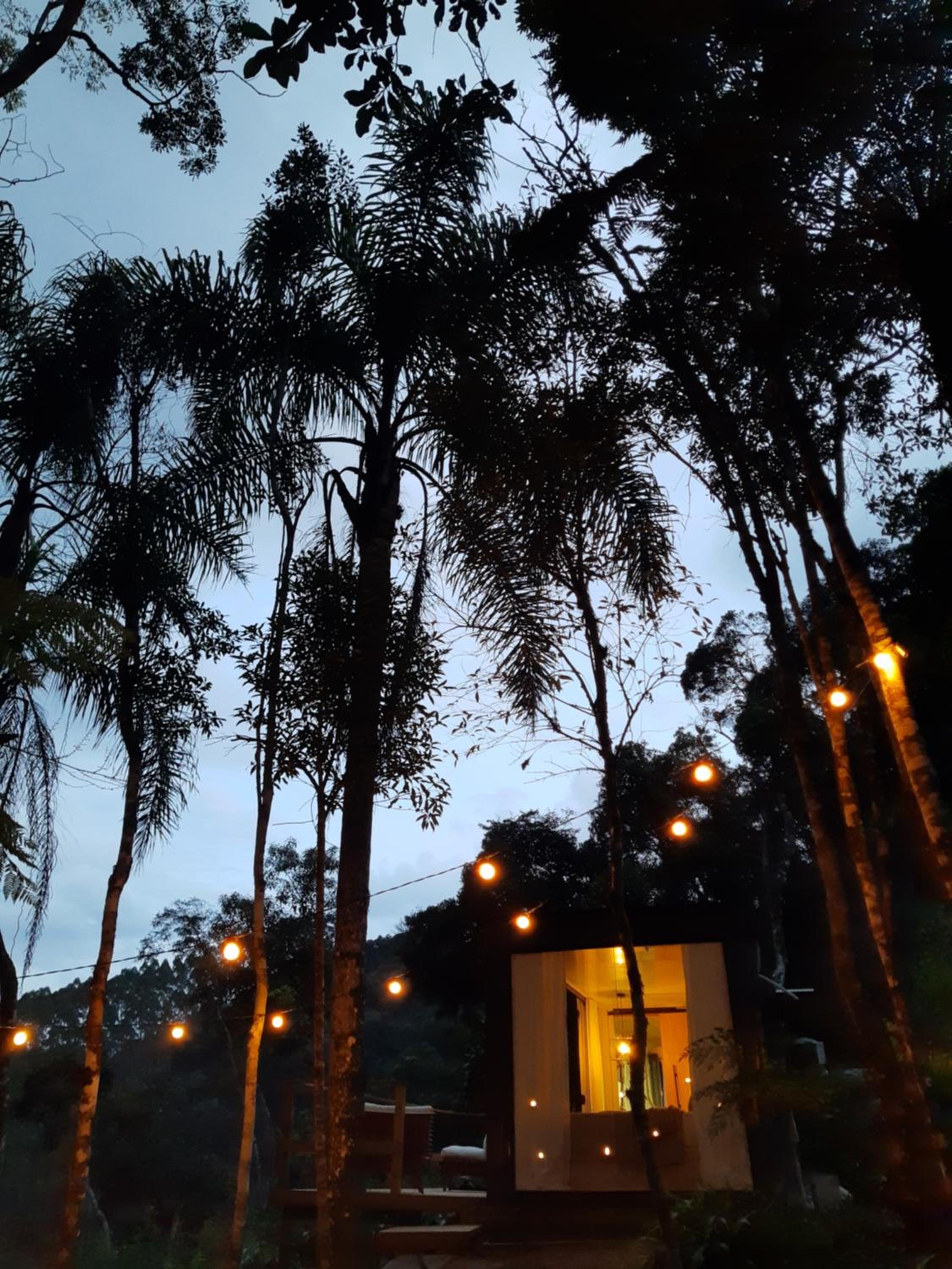 Vale Dos Pinheiros
