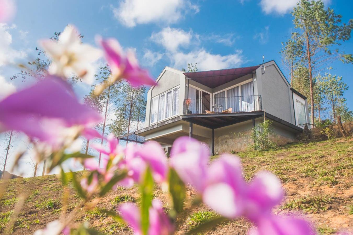 Timber Lodge Camanducaia