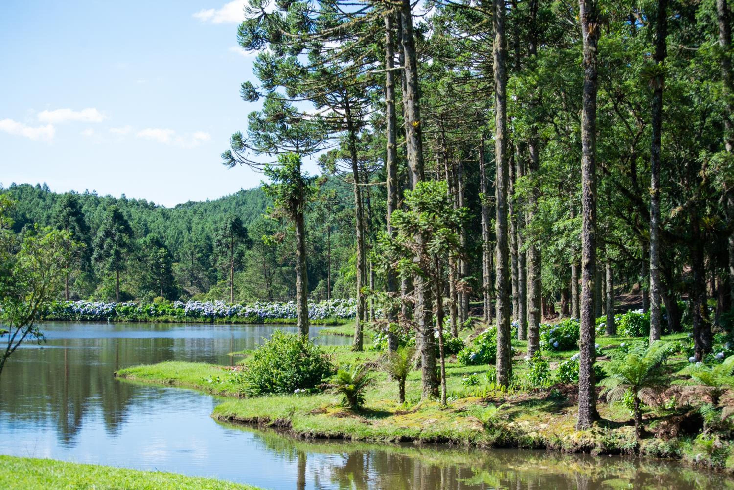 Timber Lodge Camanducaia