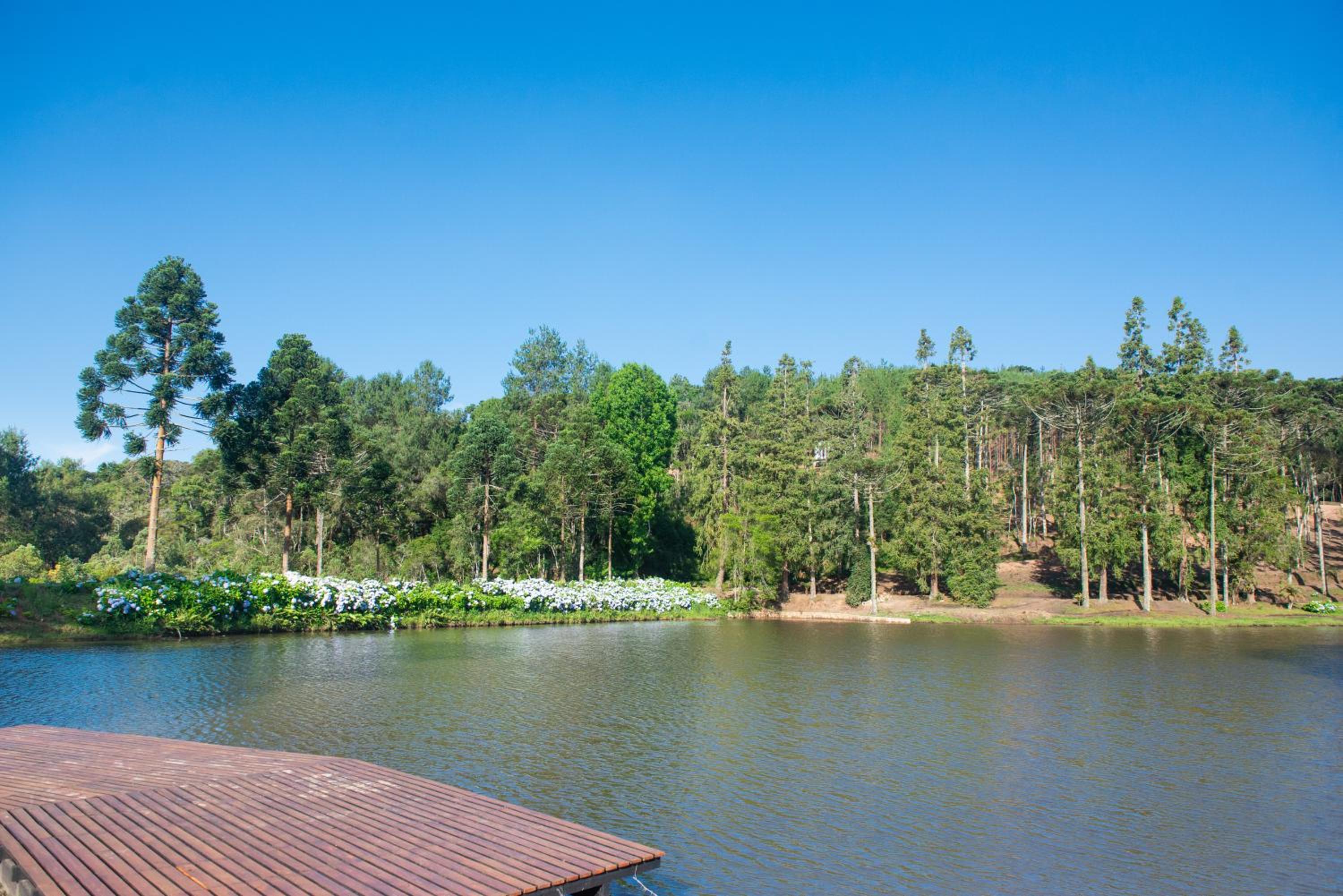 Timber Lodge Camanducaia