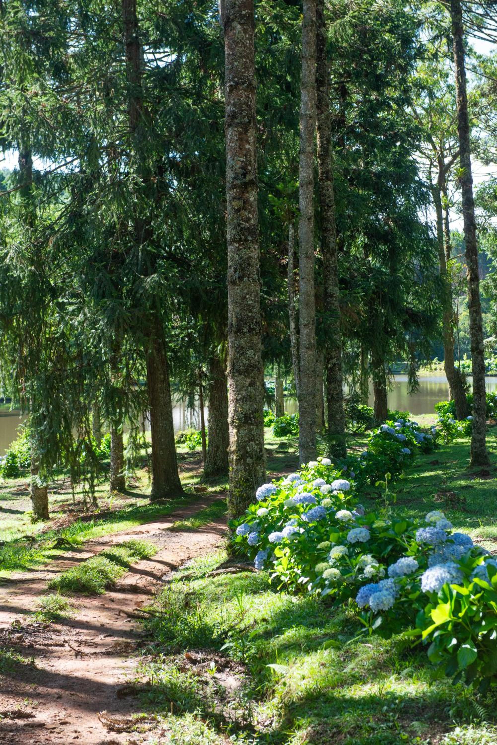 Timber Lodge Camanducaia