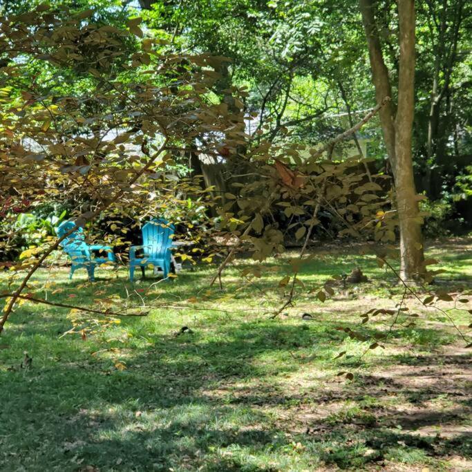 Cozy Garage SheShed - Has Enclosed Outdoor Shower view 4