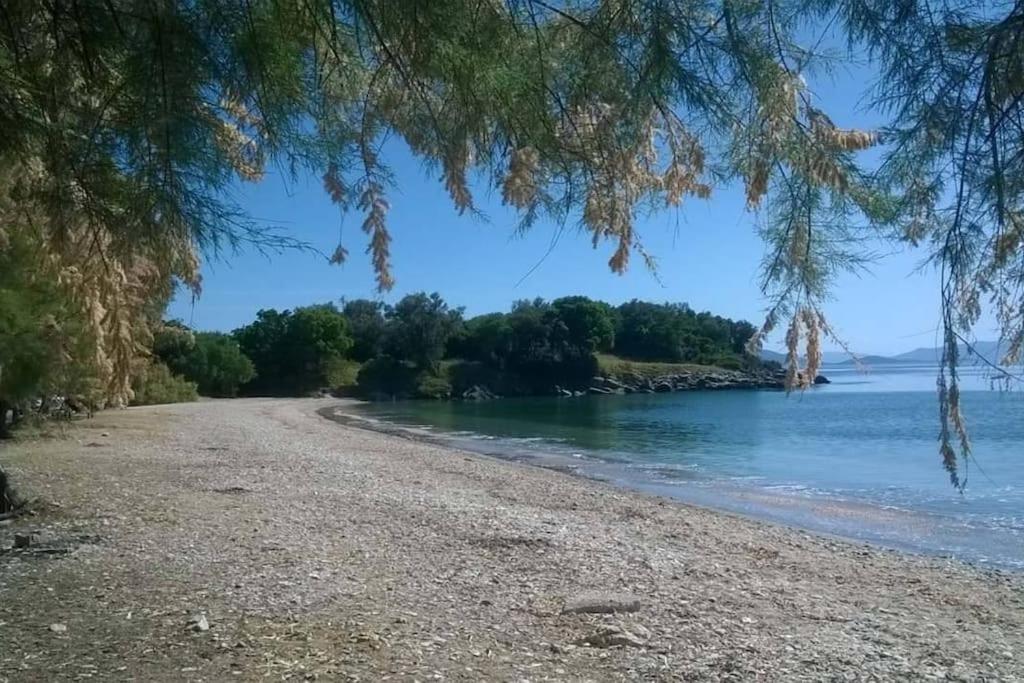 Your house by the sea
