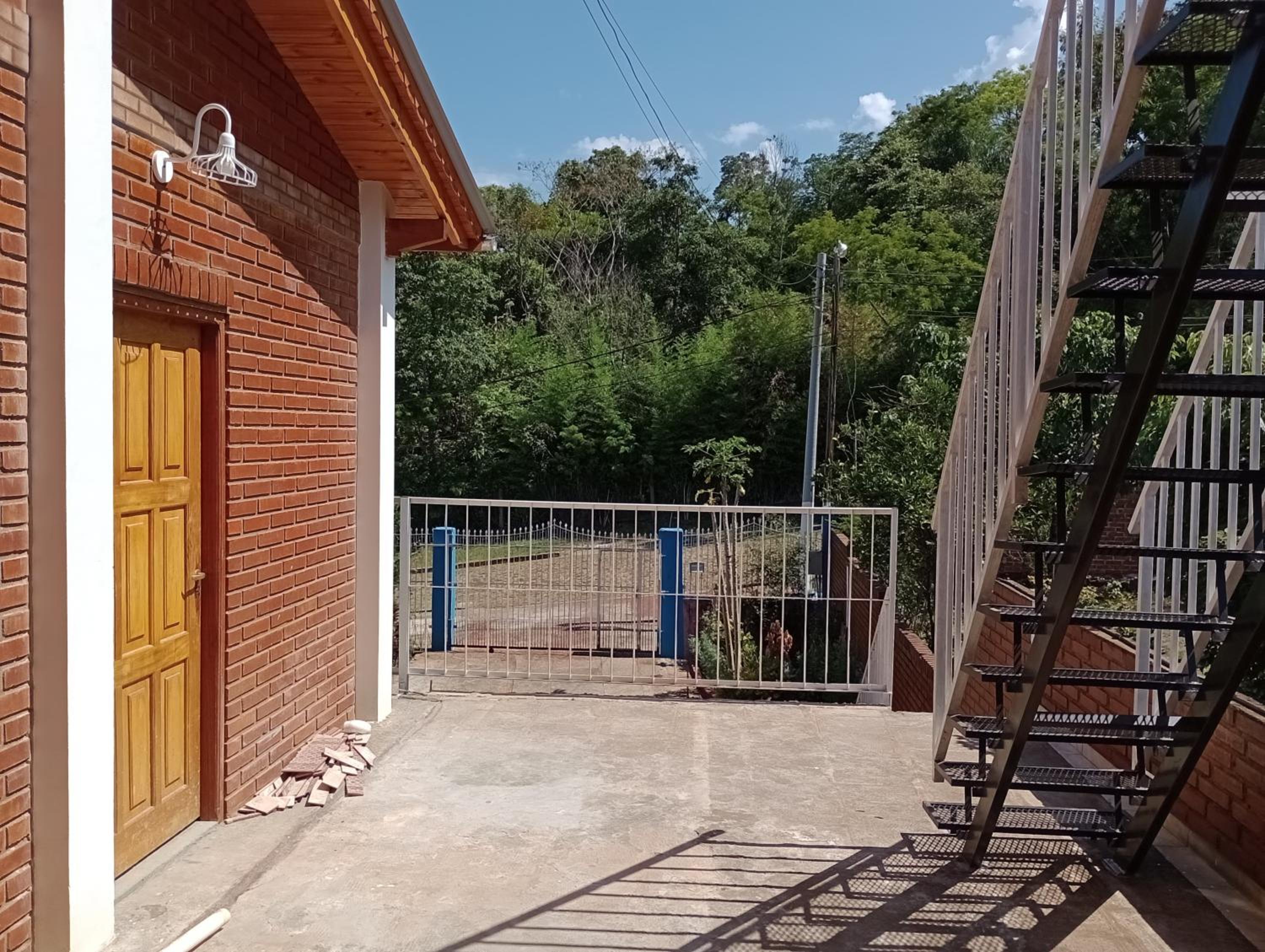 El oso viejo