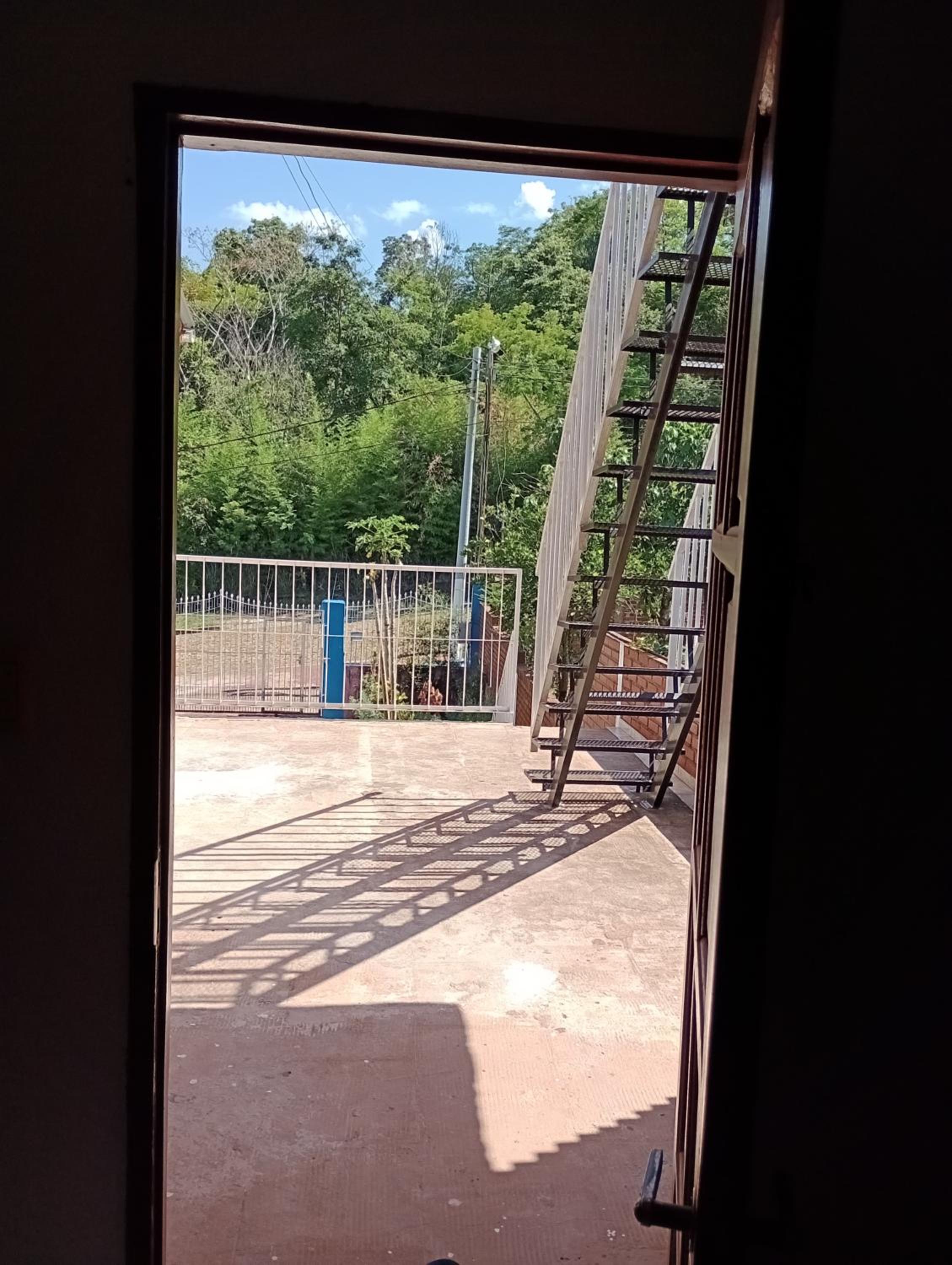 El oso viejo