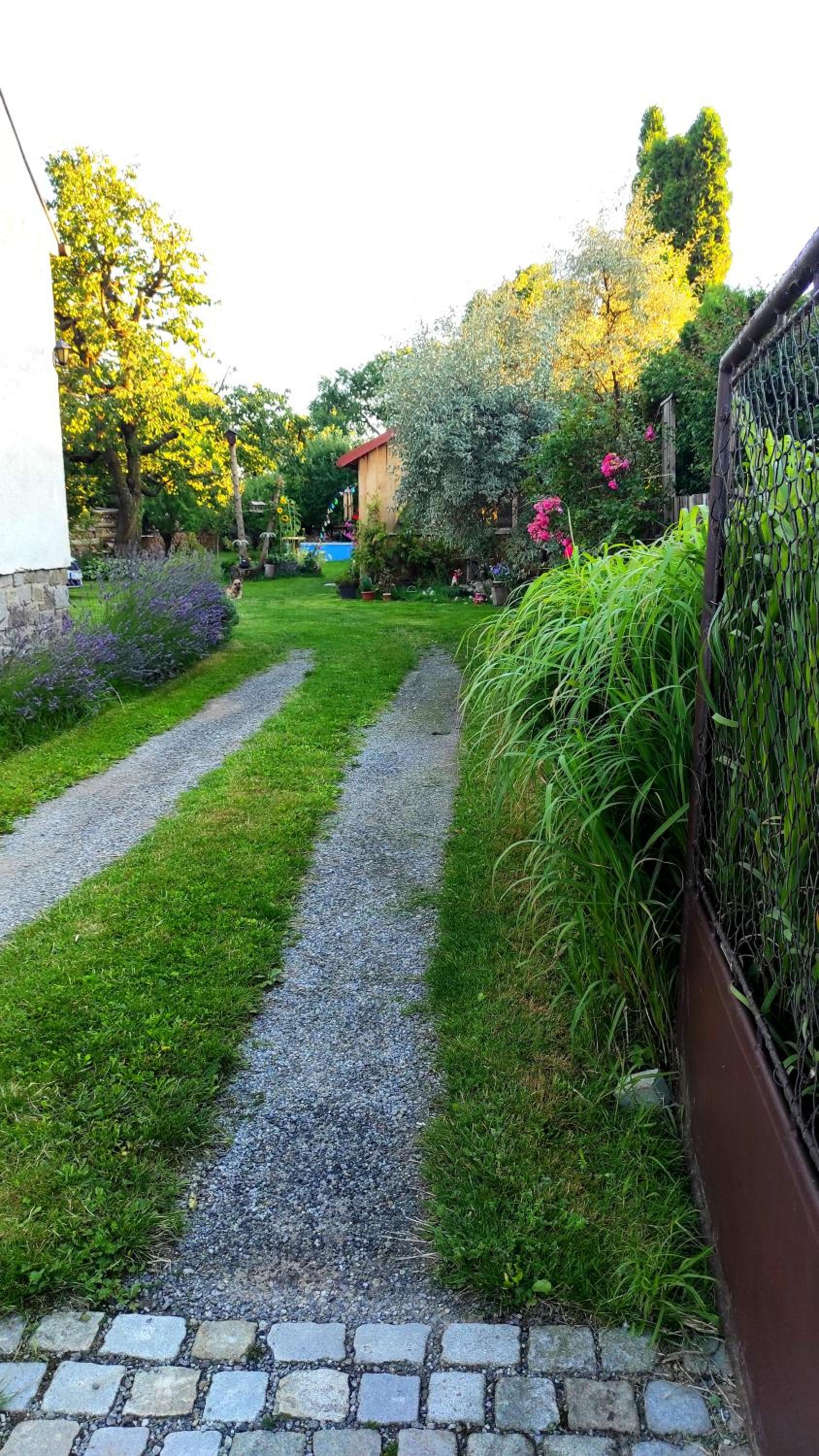 Photo 31