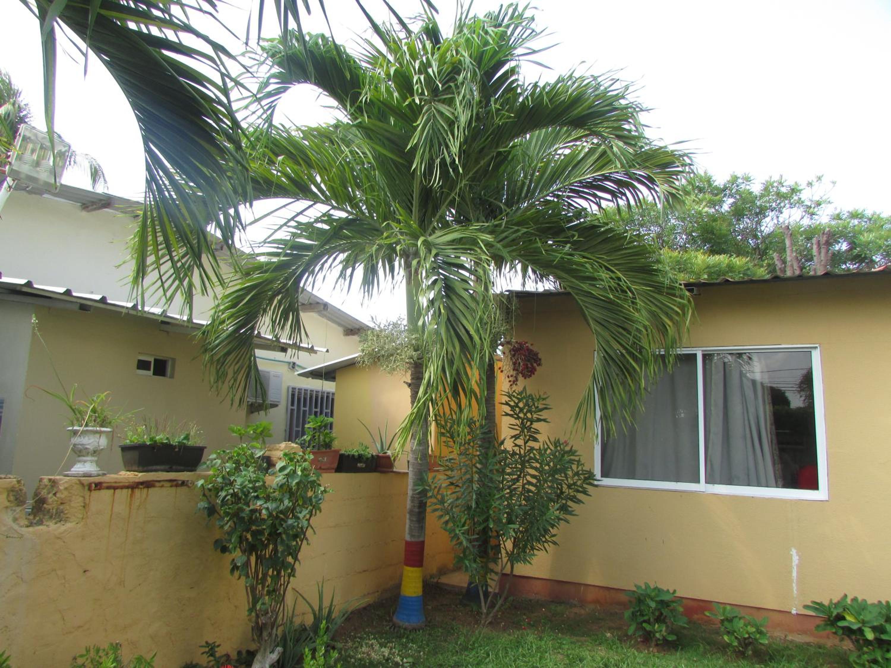 Posada Hostal Miss Marlly