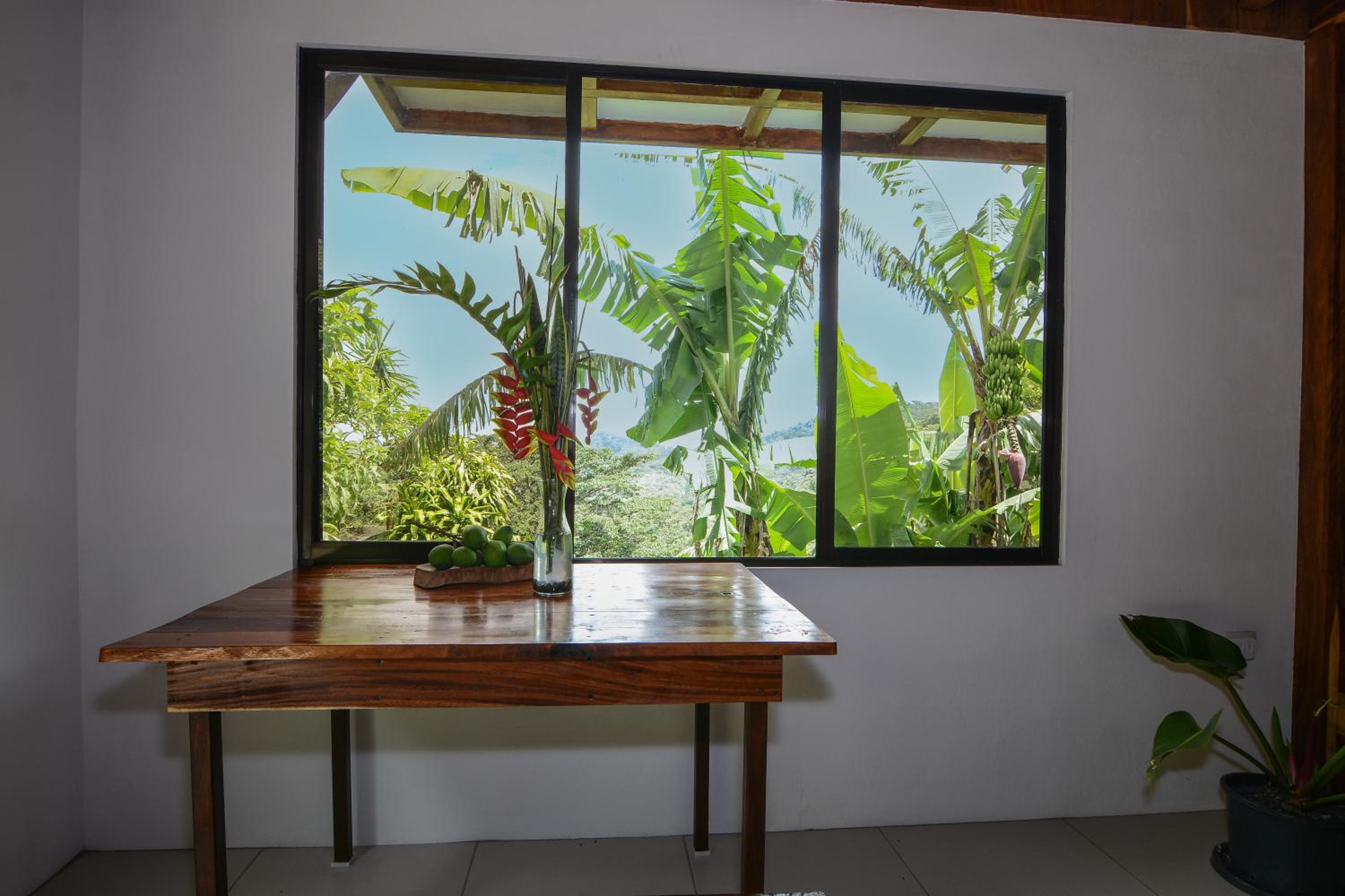 Casa Curré Monteverde