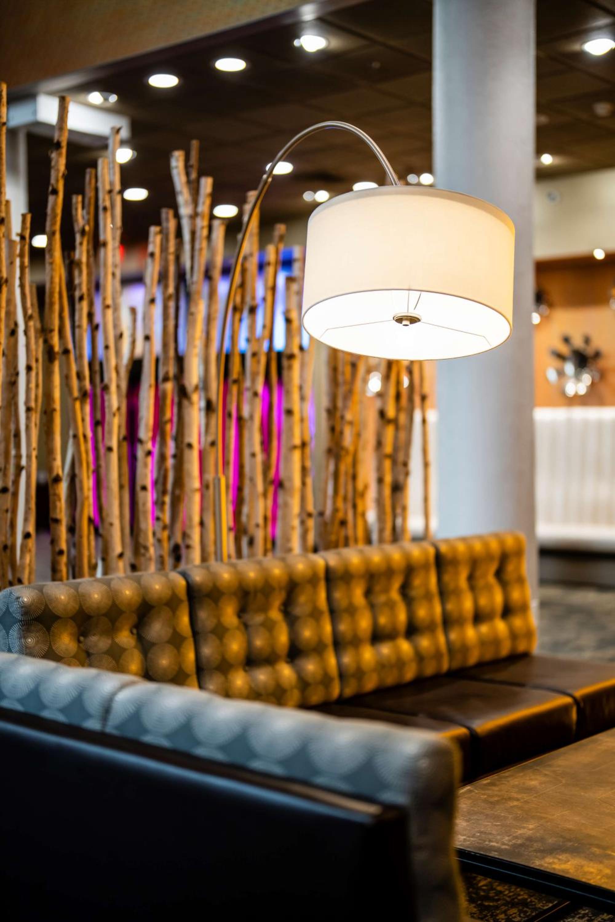 The Verve Boston Natick, Tapestry Collection by Hilton - Property Image 7