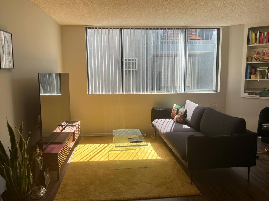 Cute and cozy apartment in WeHo.