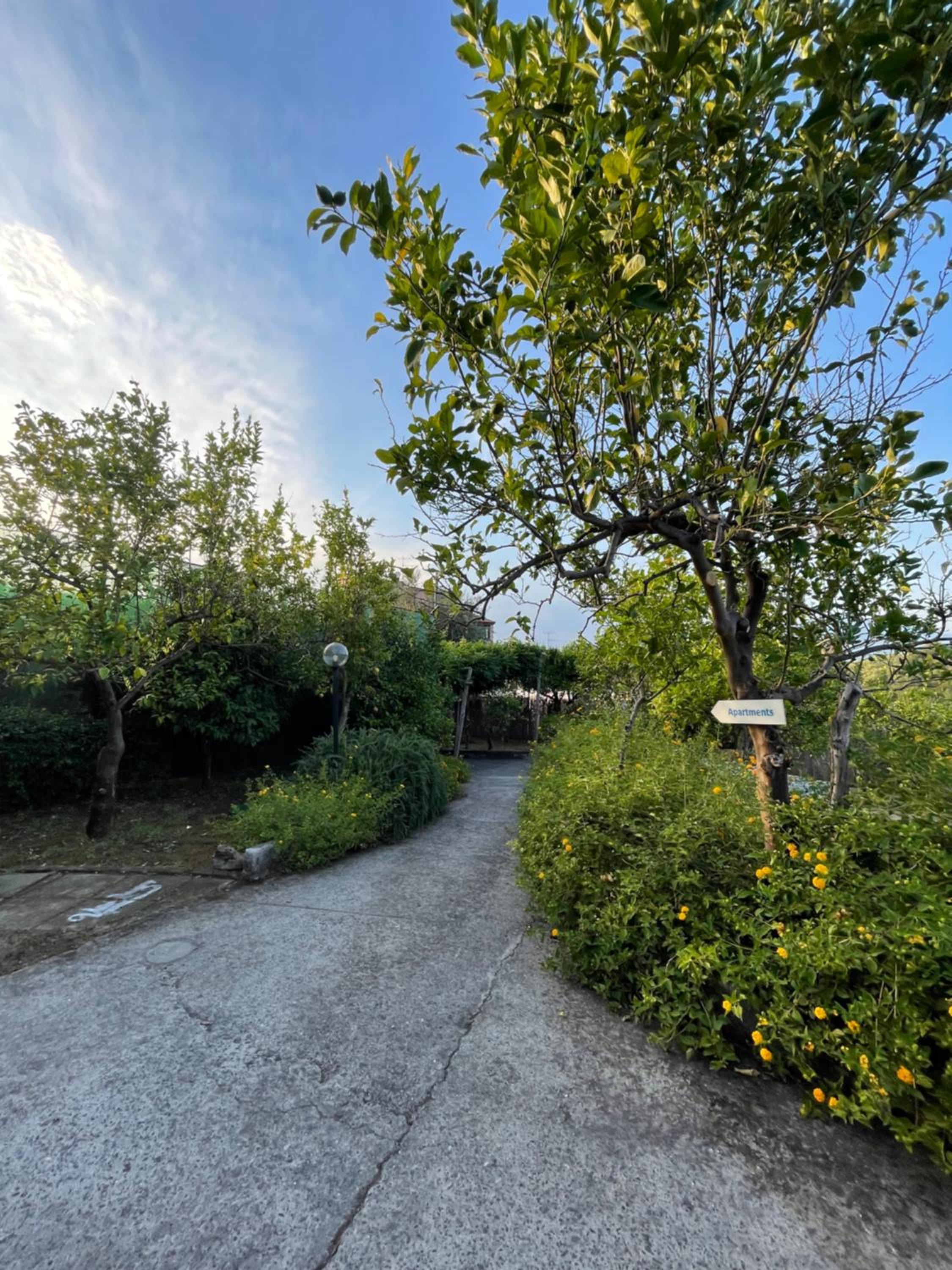 Villa Rosmary