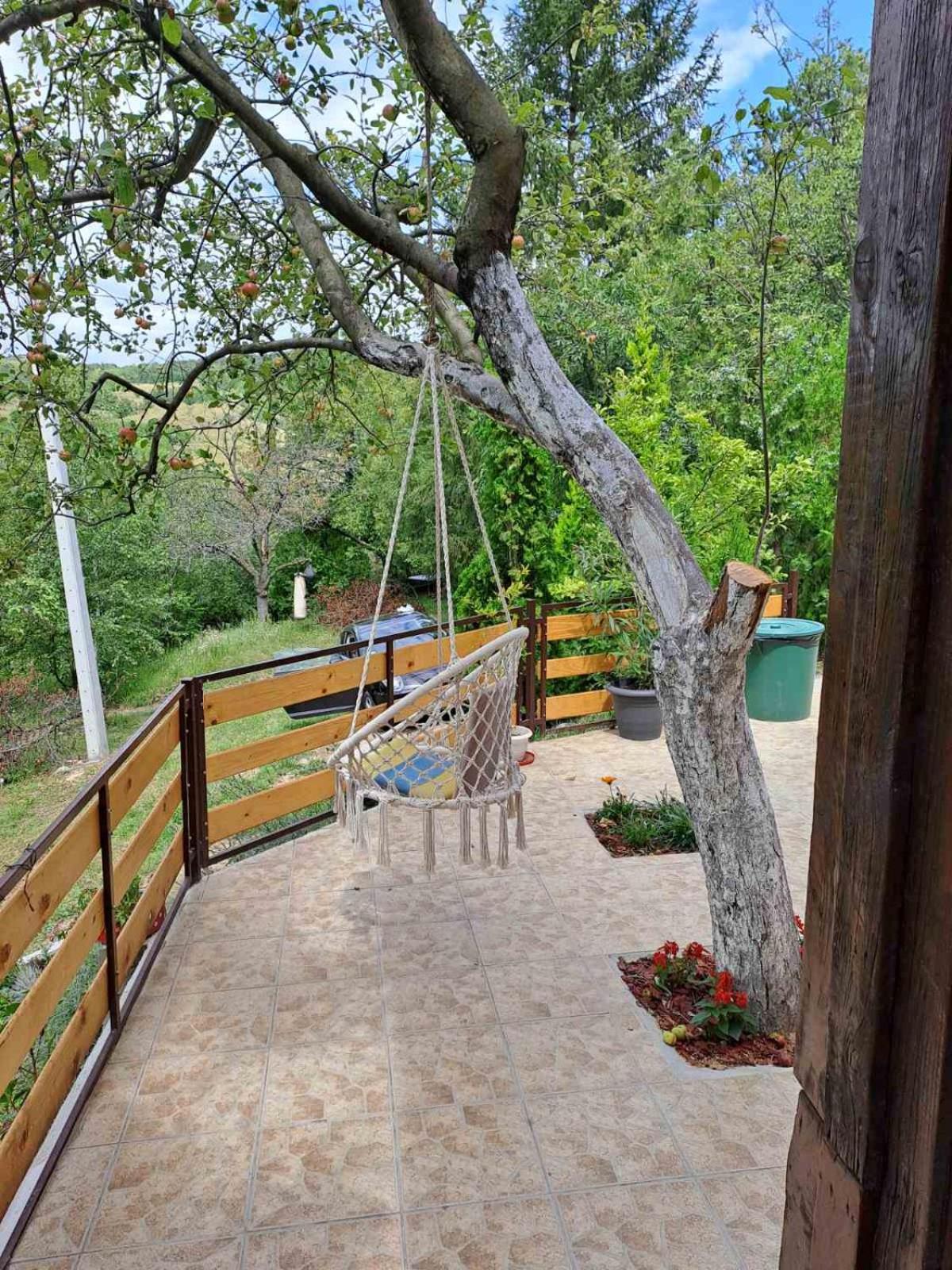 Marley kuca za odmor view 4