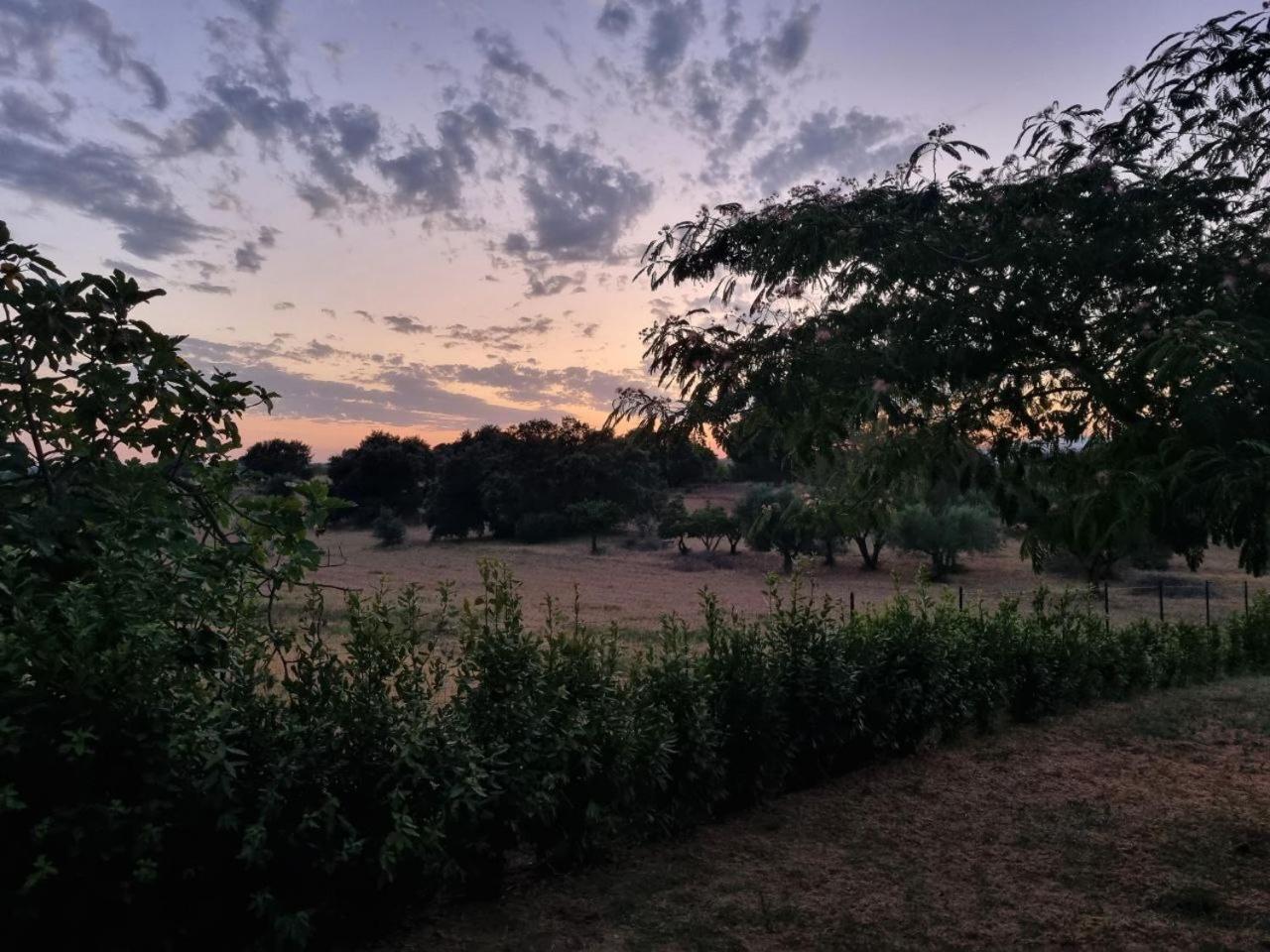 Accogliente villa con piscina