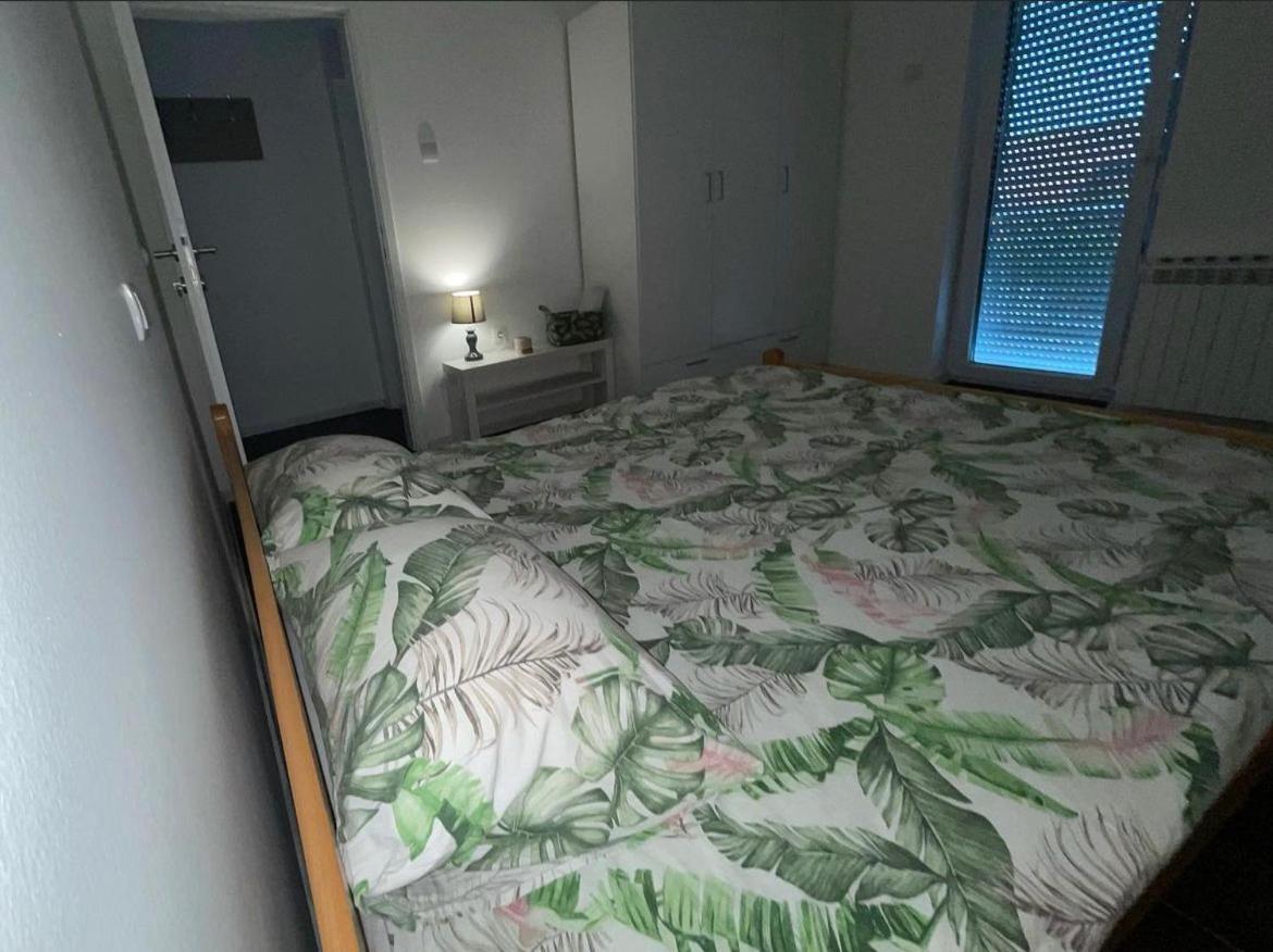 Apartmani Gacic- Sabac view 5