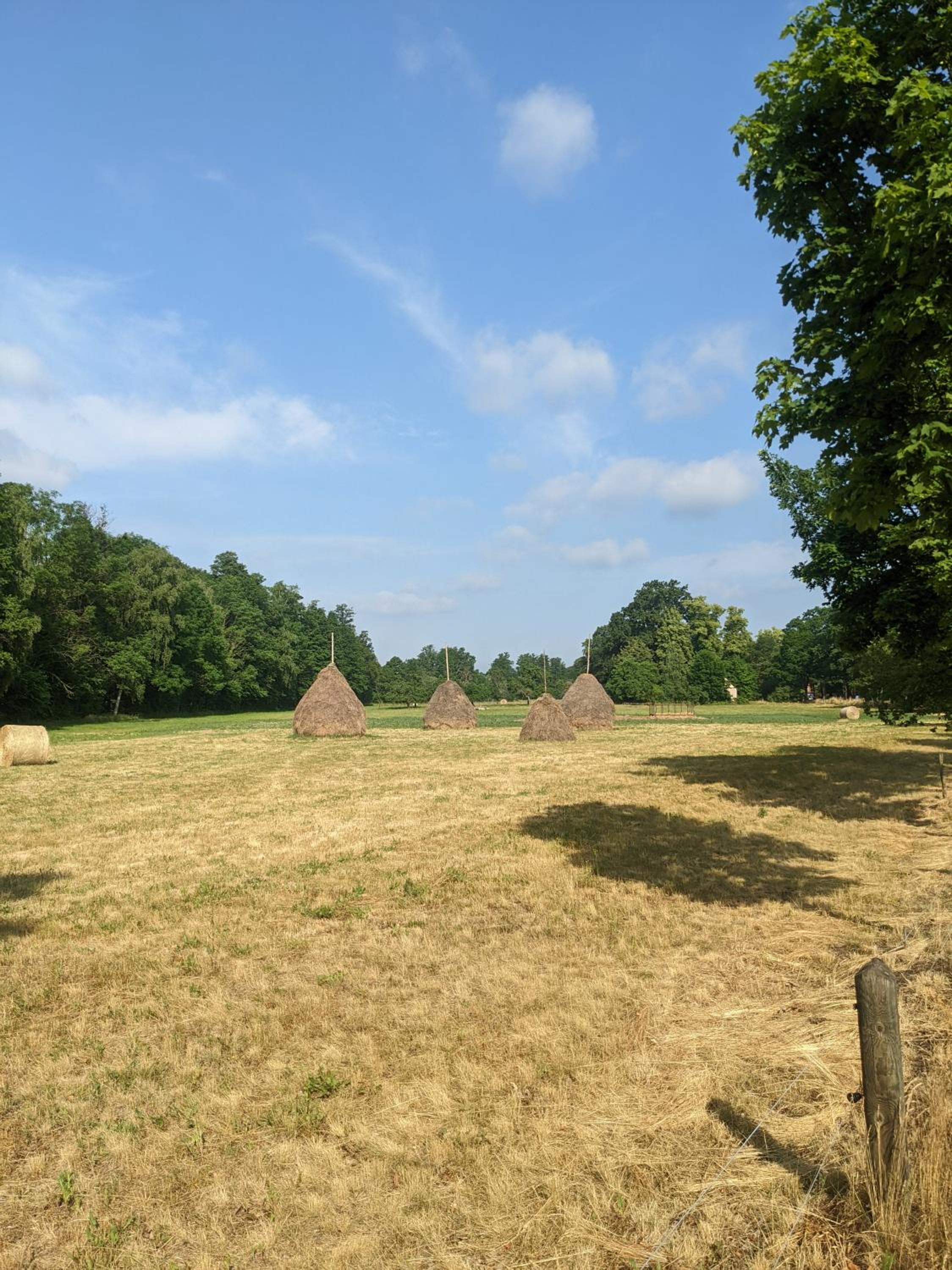 Am Waldrand Spreewald