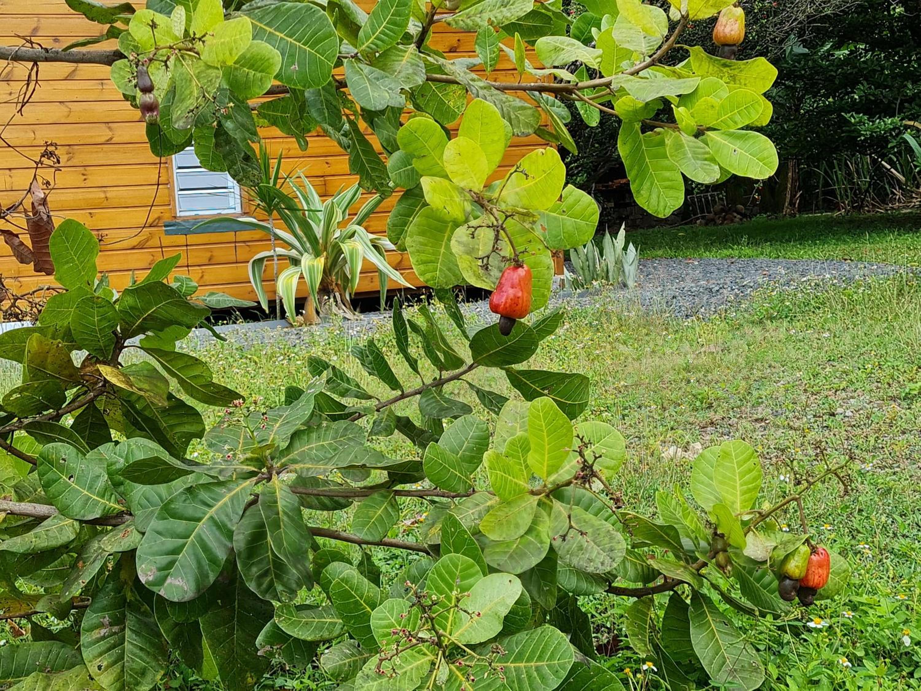 La kaz nature bien-être, photo 32