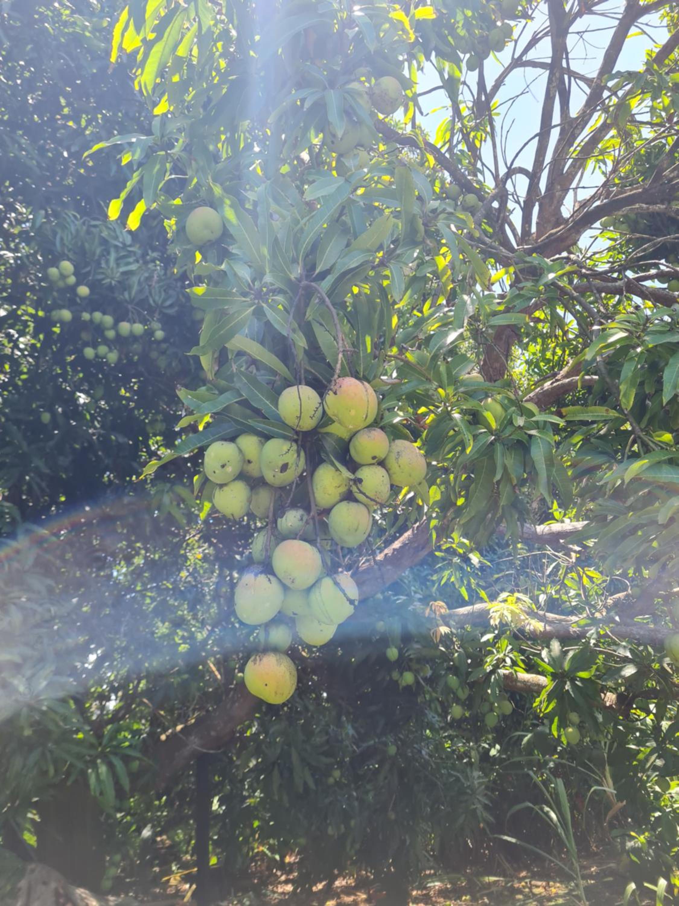 La kaz nature bien-être, photo 22