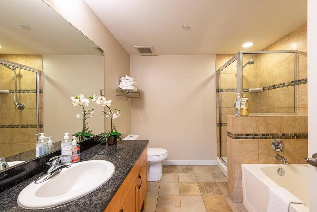 Ski-In / Ski-Out 1 Bedroom Condo base of WP Resort view 5