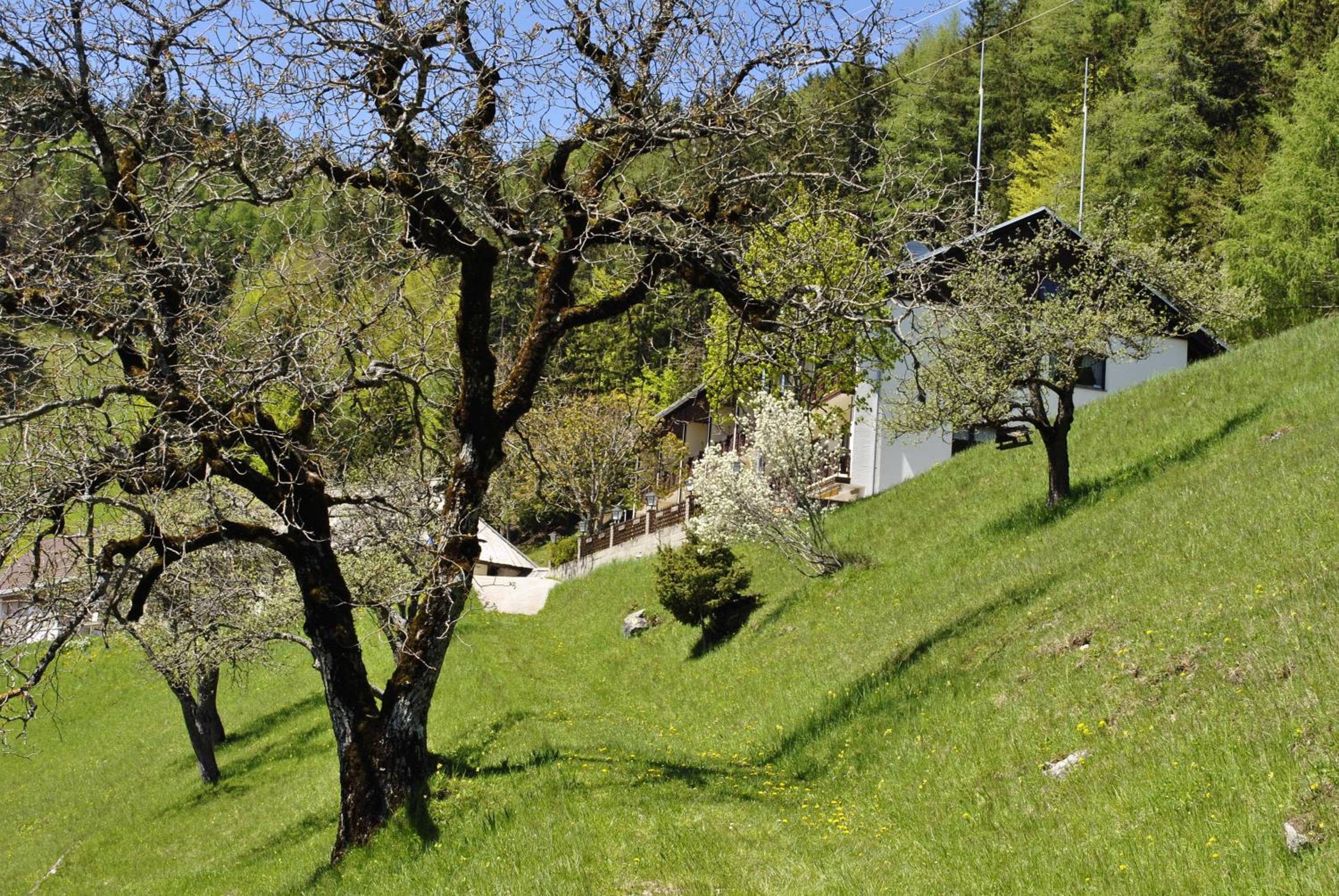 Bed&Breakfast Lausegger