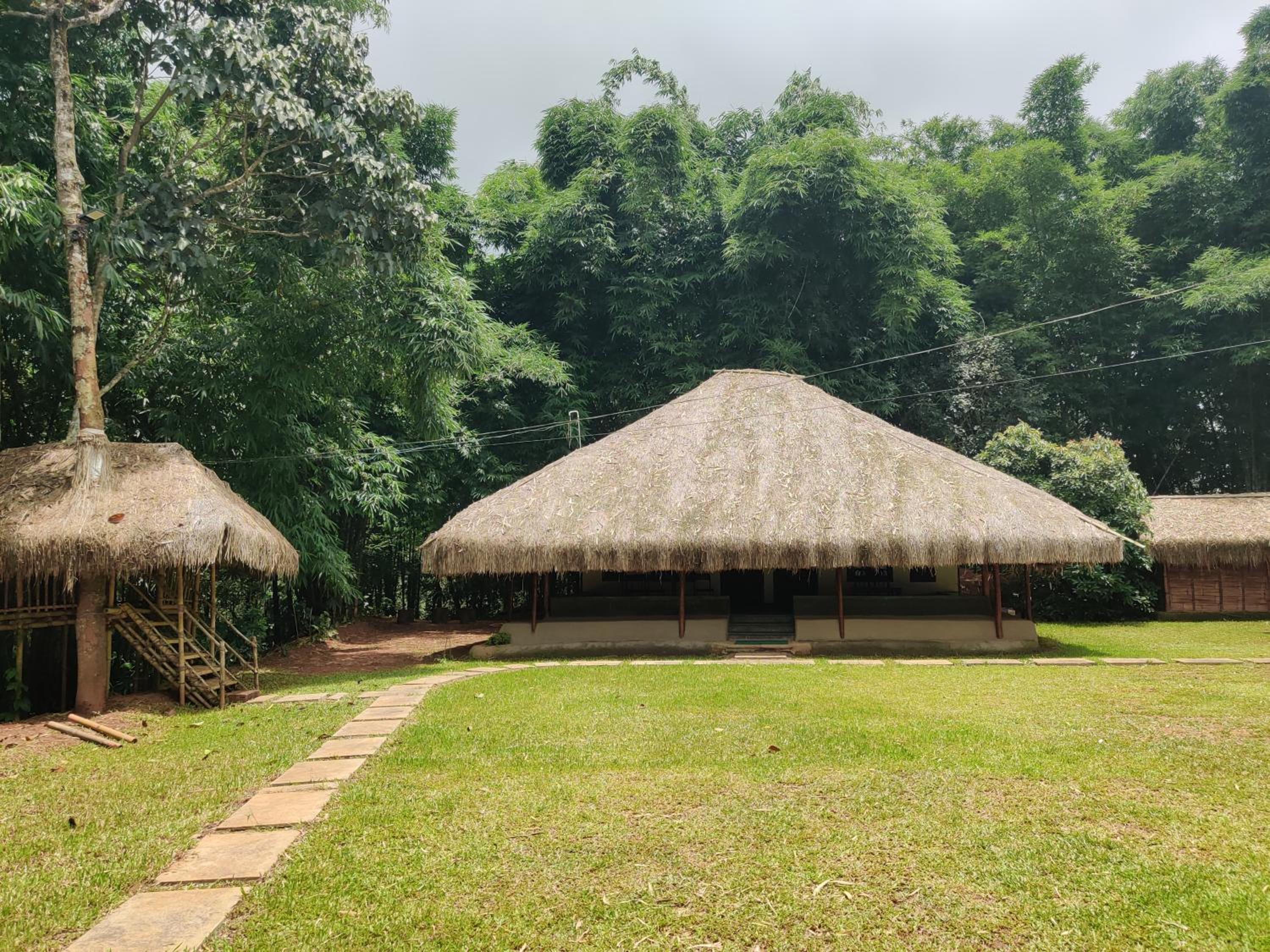 Bamboo Grove