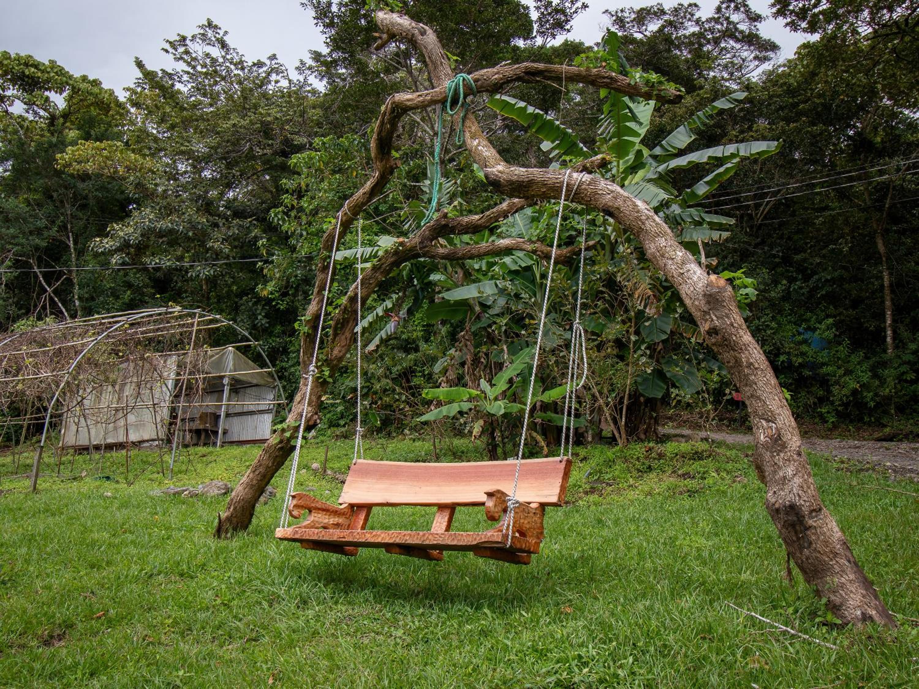 Forest Garden House