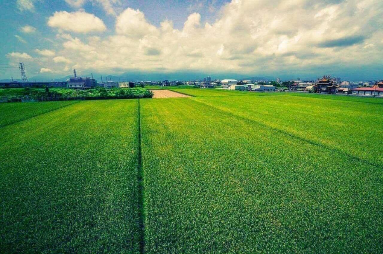 Yilan Greenbird of Happiness B&B