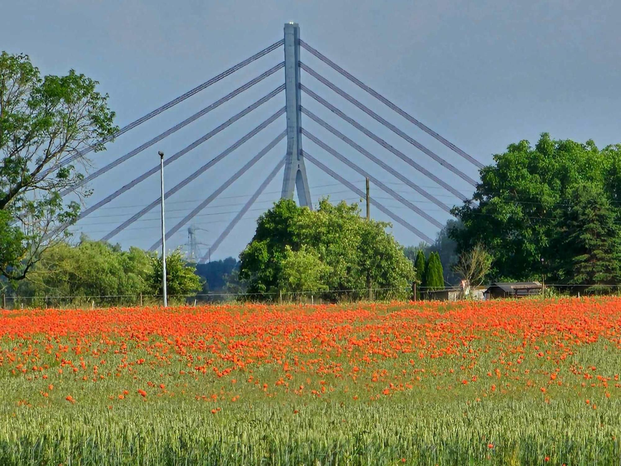 Hasenbau Wesel-Flüren