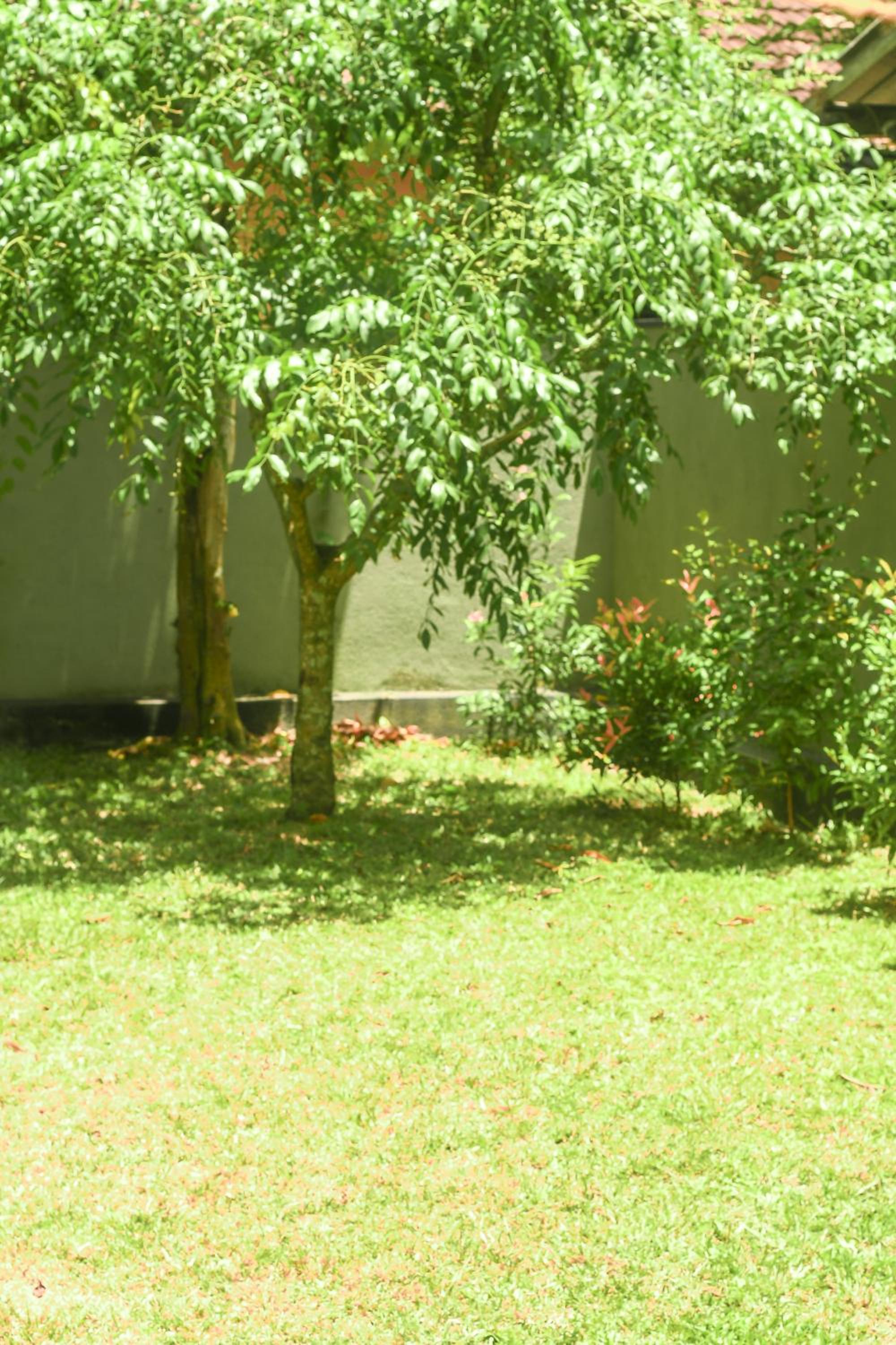 Urban Galle Villa view 4