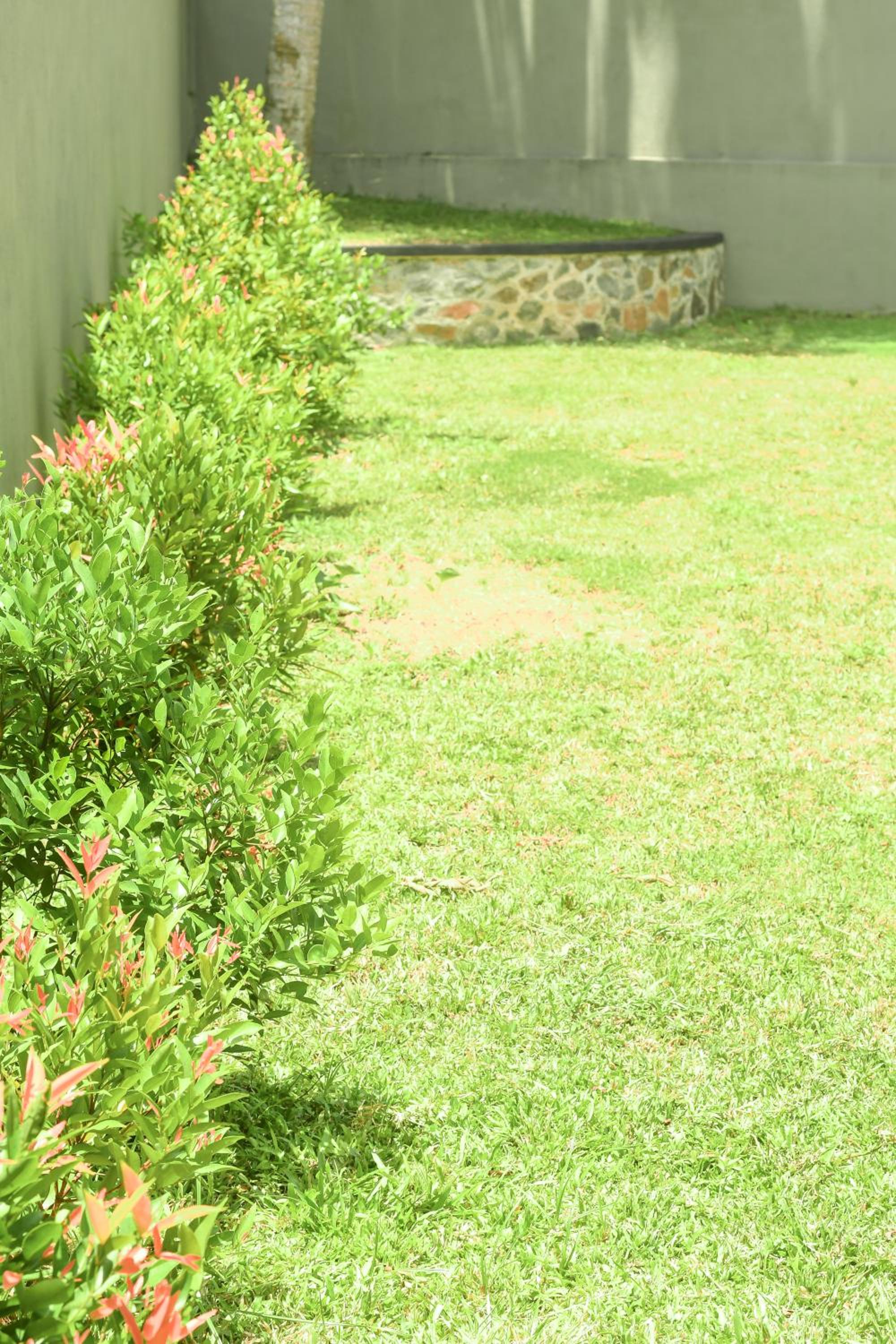 Photo 46