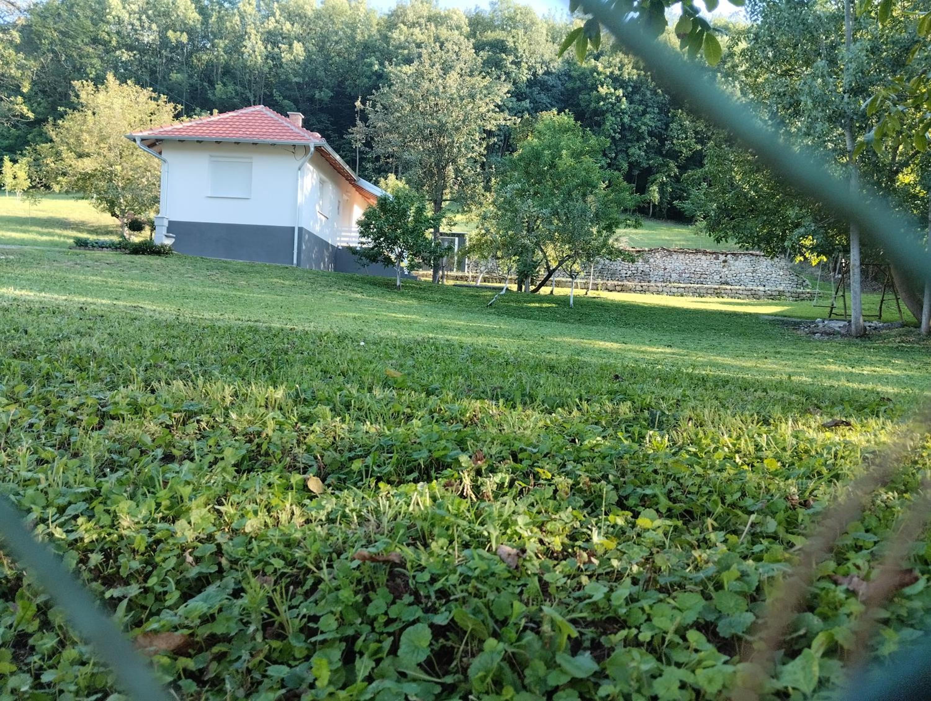 Vitovnicki Mir