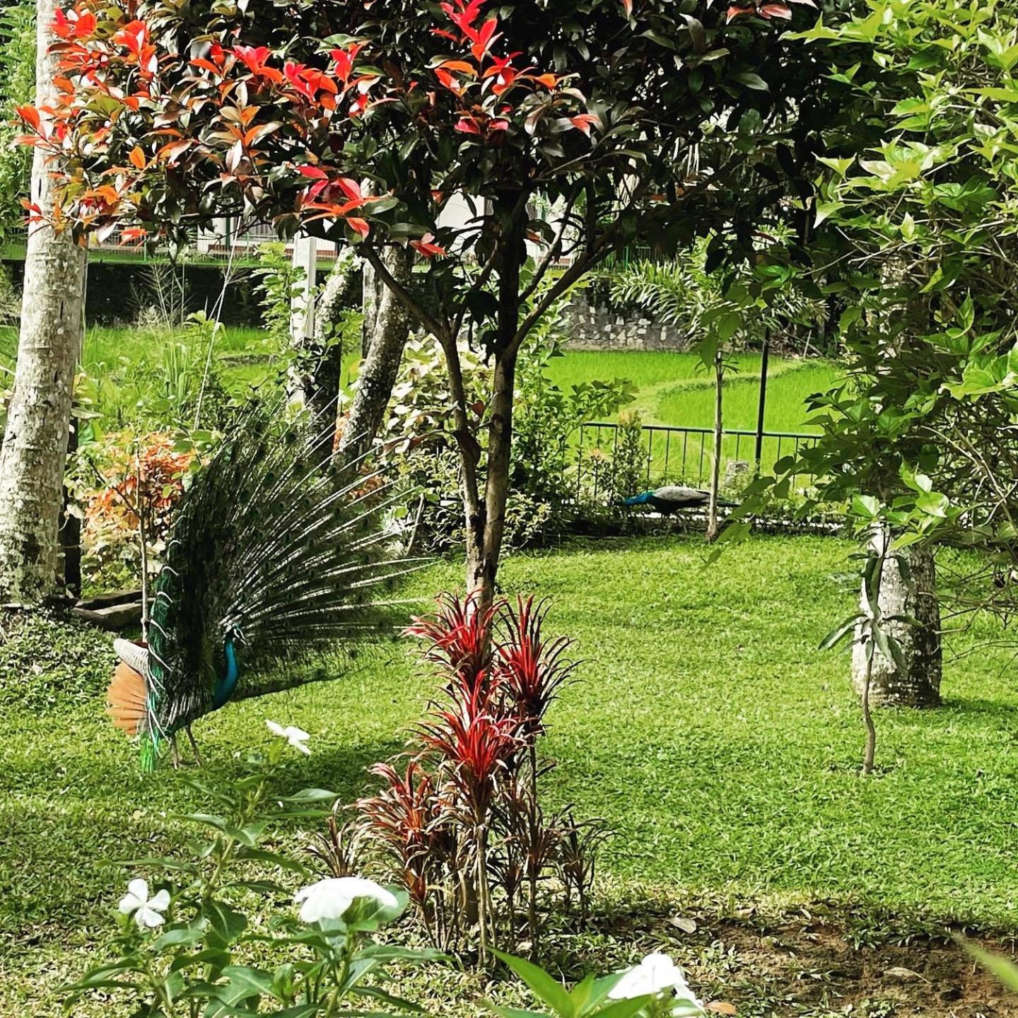 Surveyor's Residence Bungalow