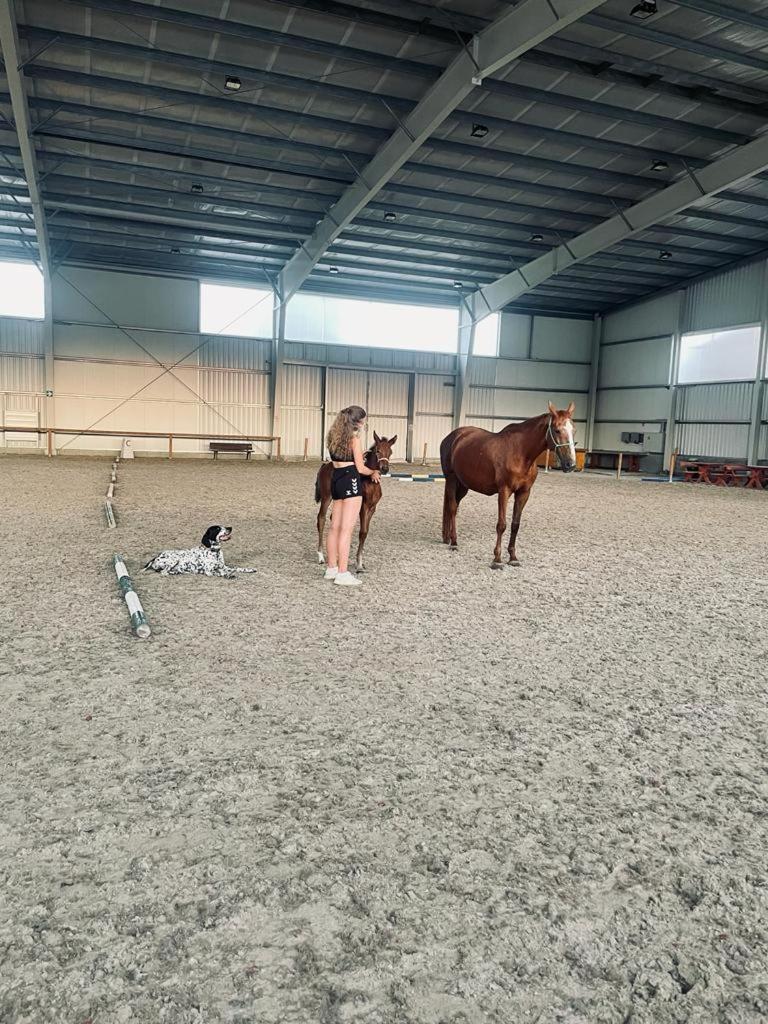 Dvůr Nové Zámky