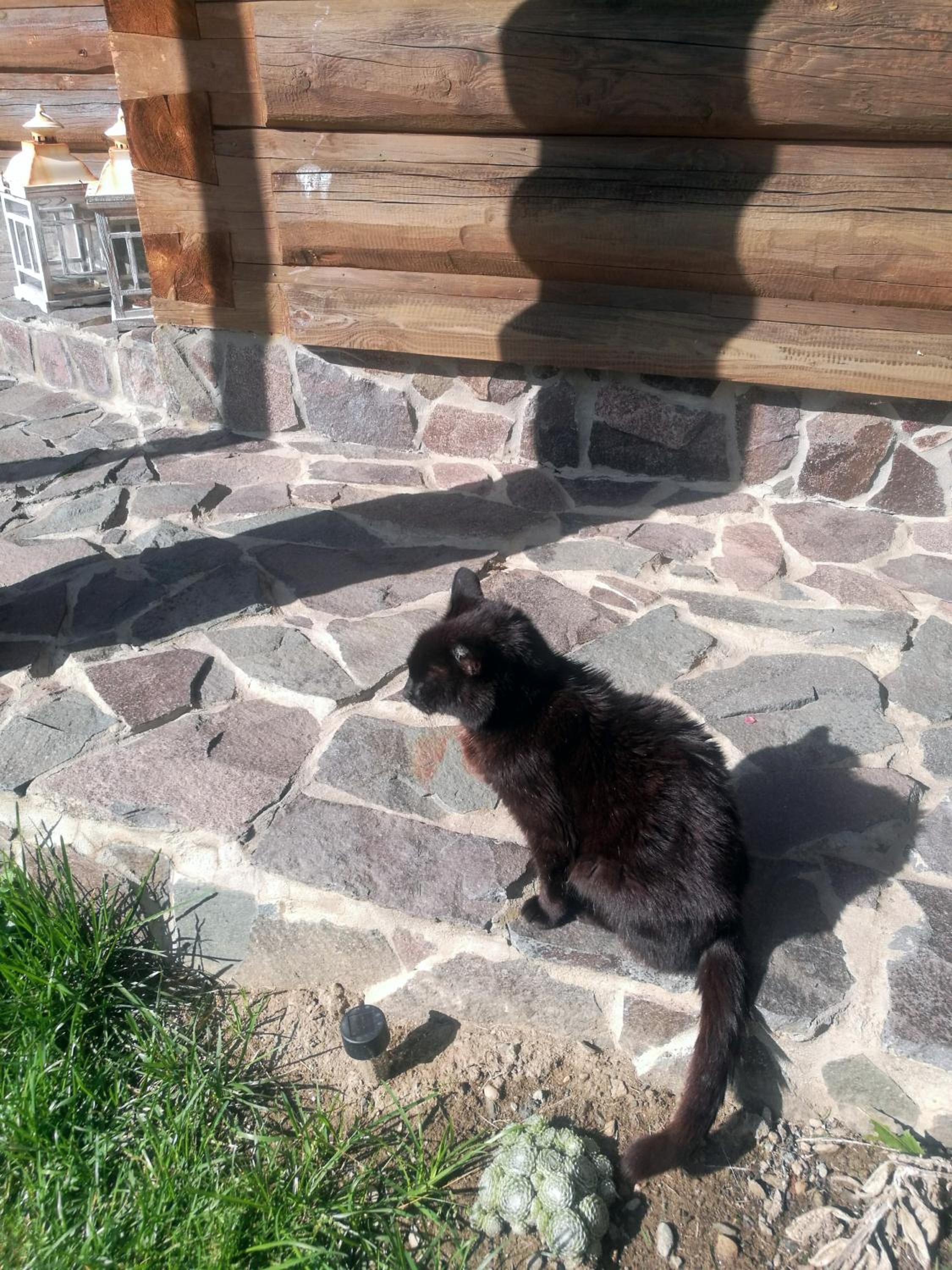 Photo 29