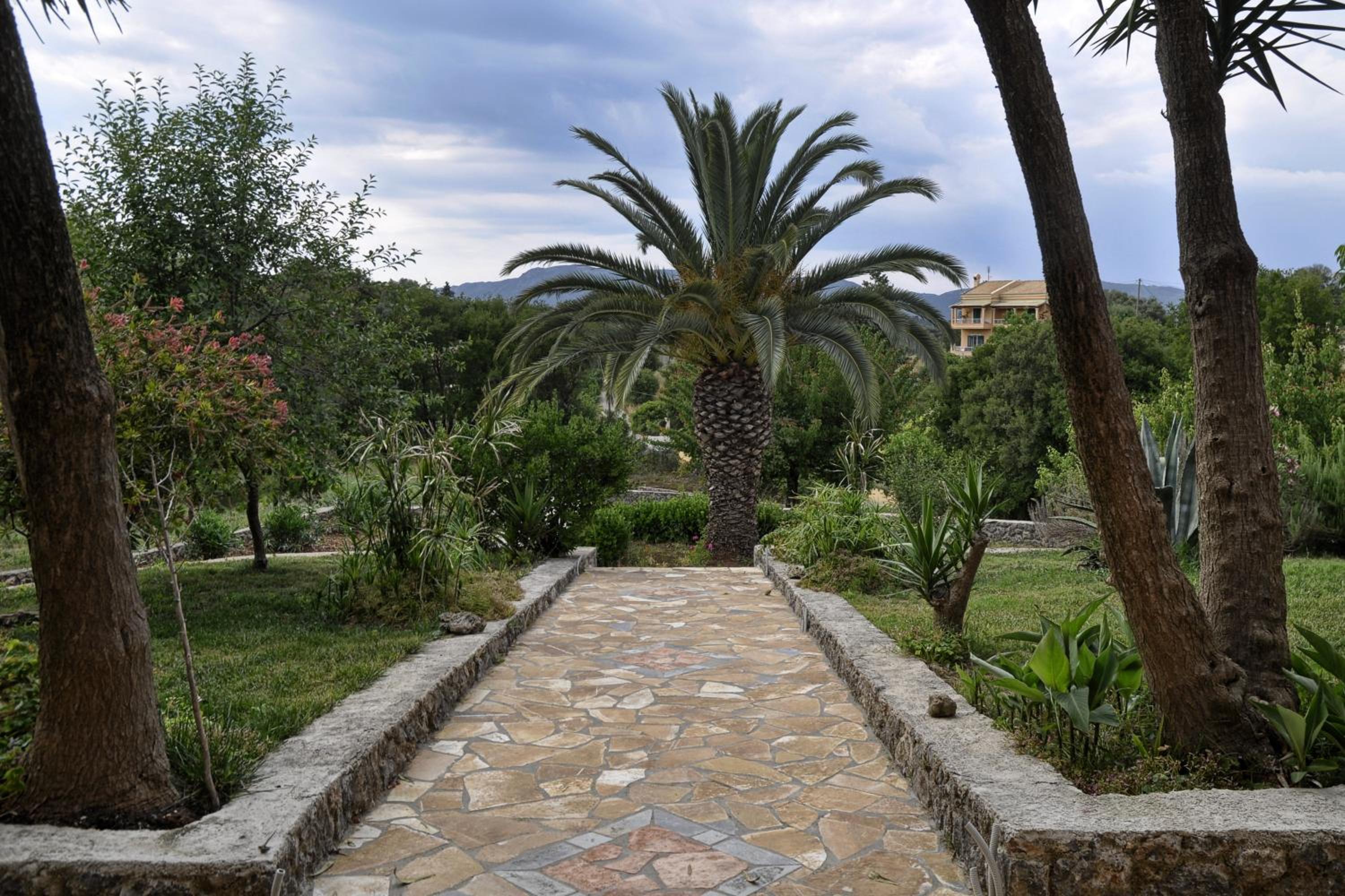 Photo 25