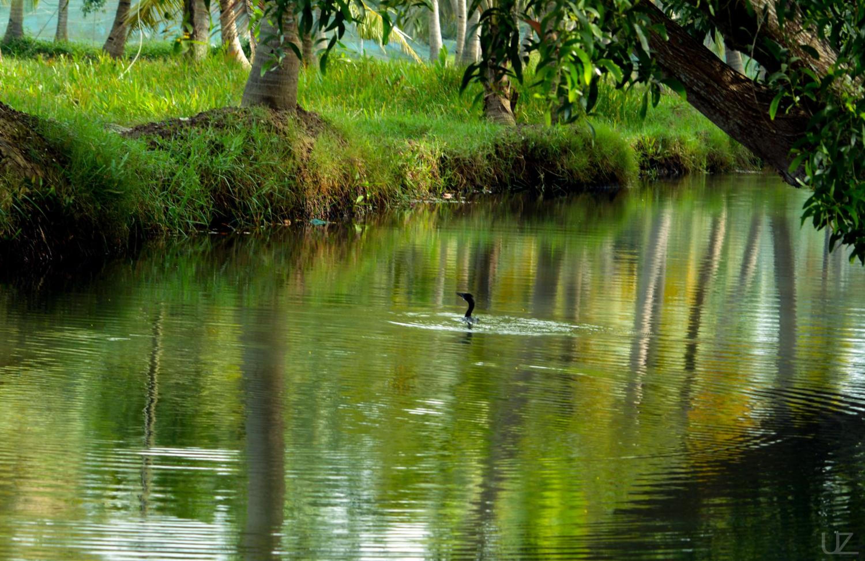 Prakruthi Residency Munroeisland