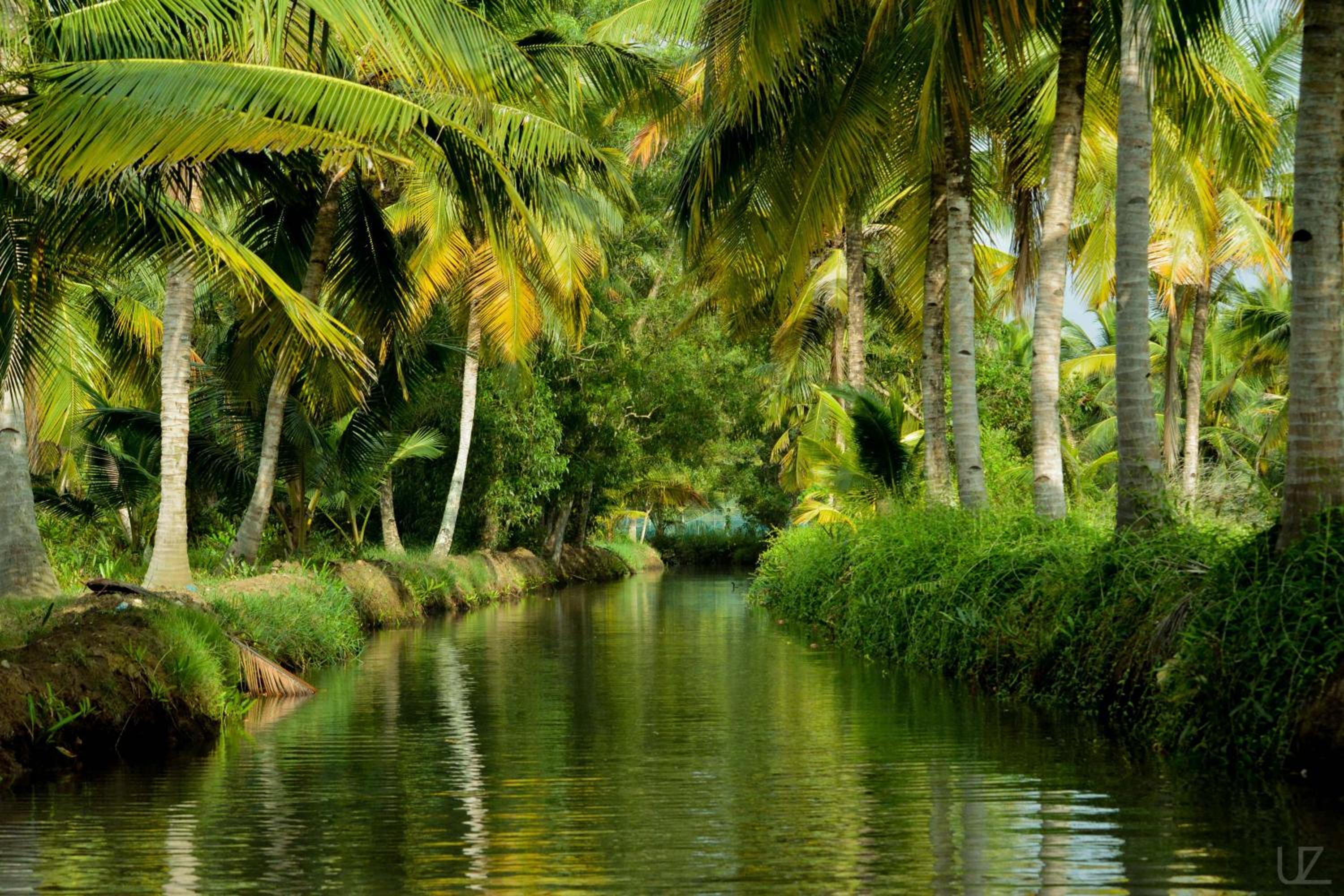 Prakruthi Residency Munroeisland
