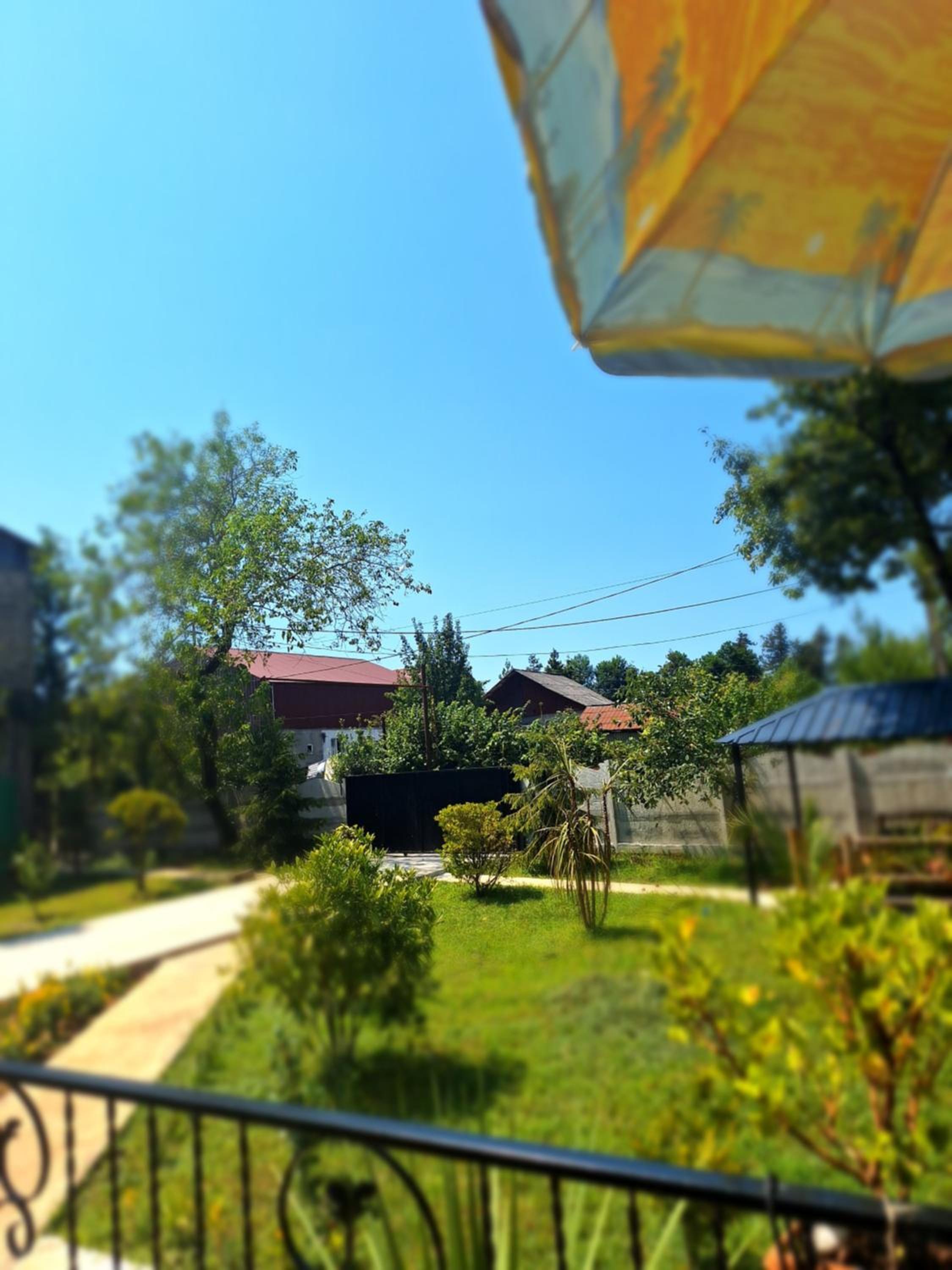 Photo 23