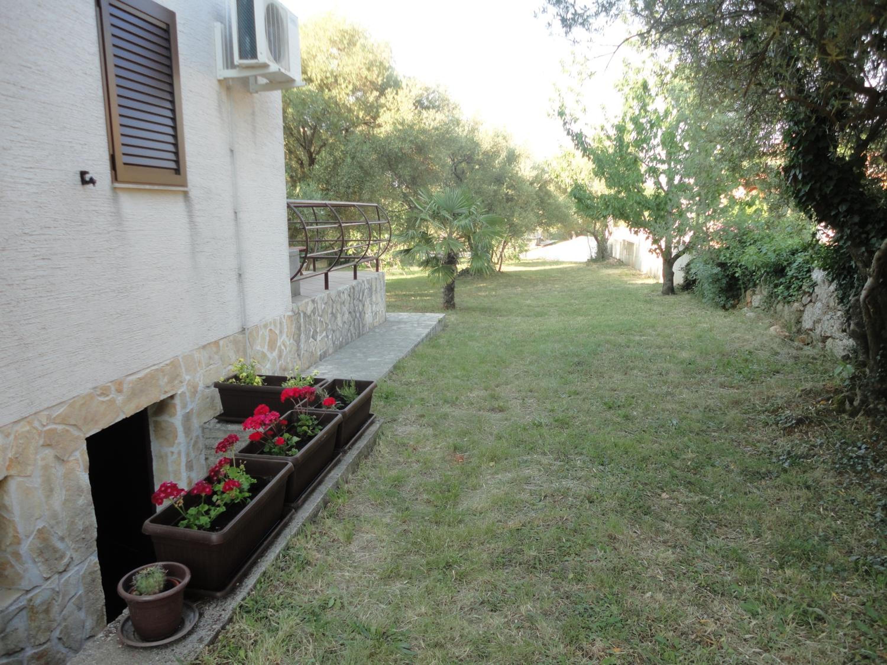 Photo 49