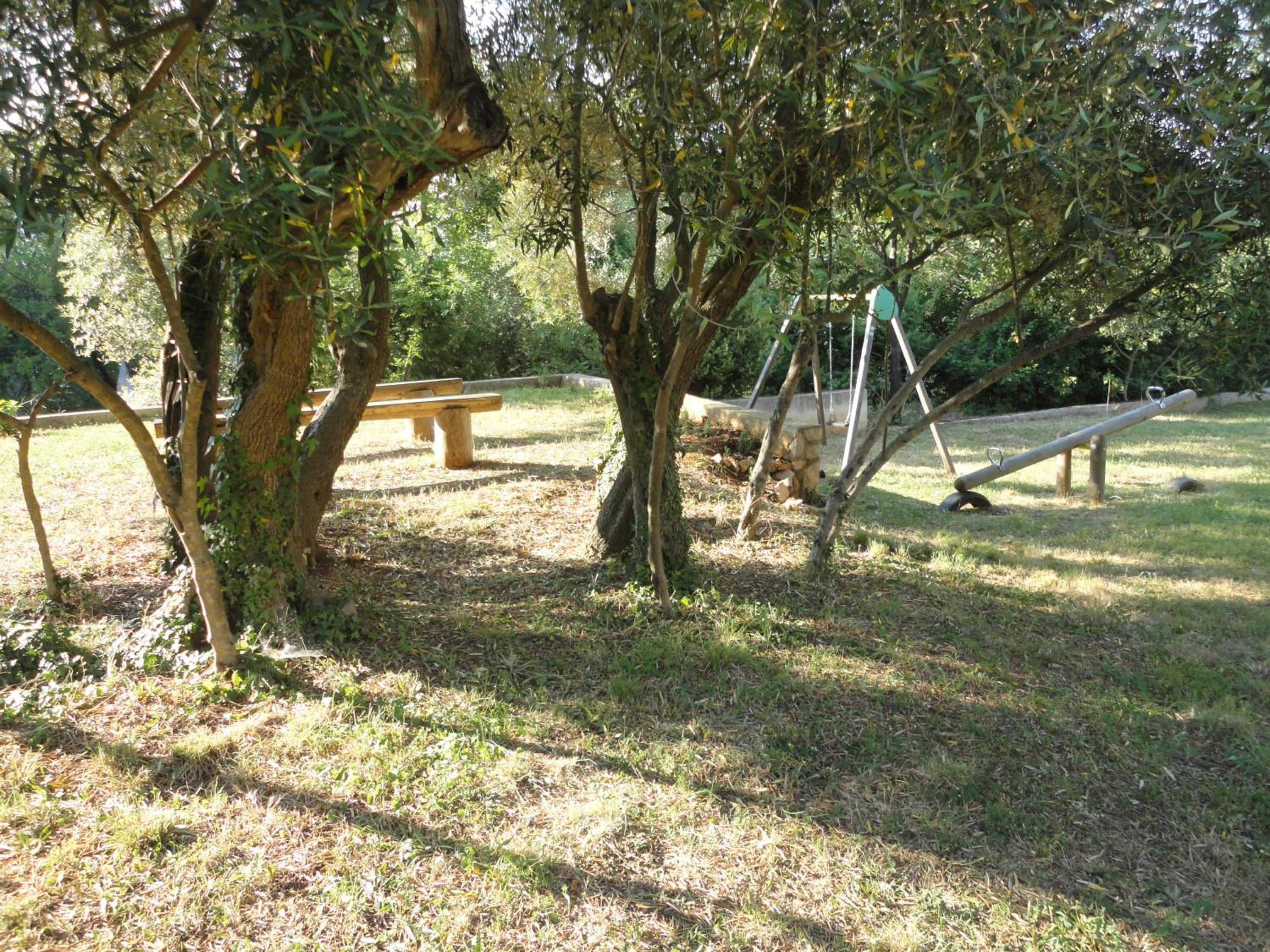 Photo 48