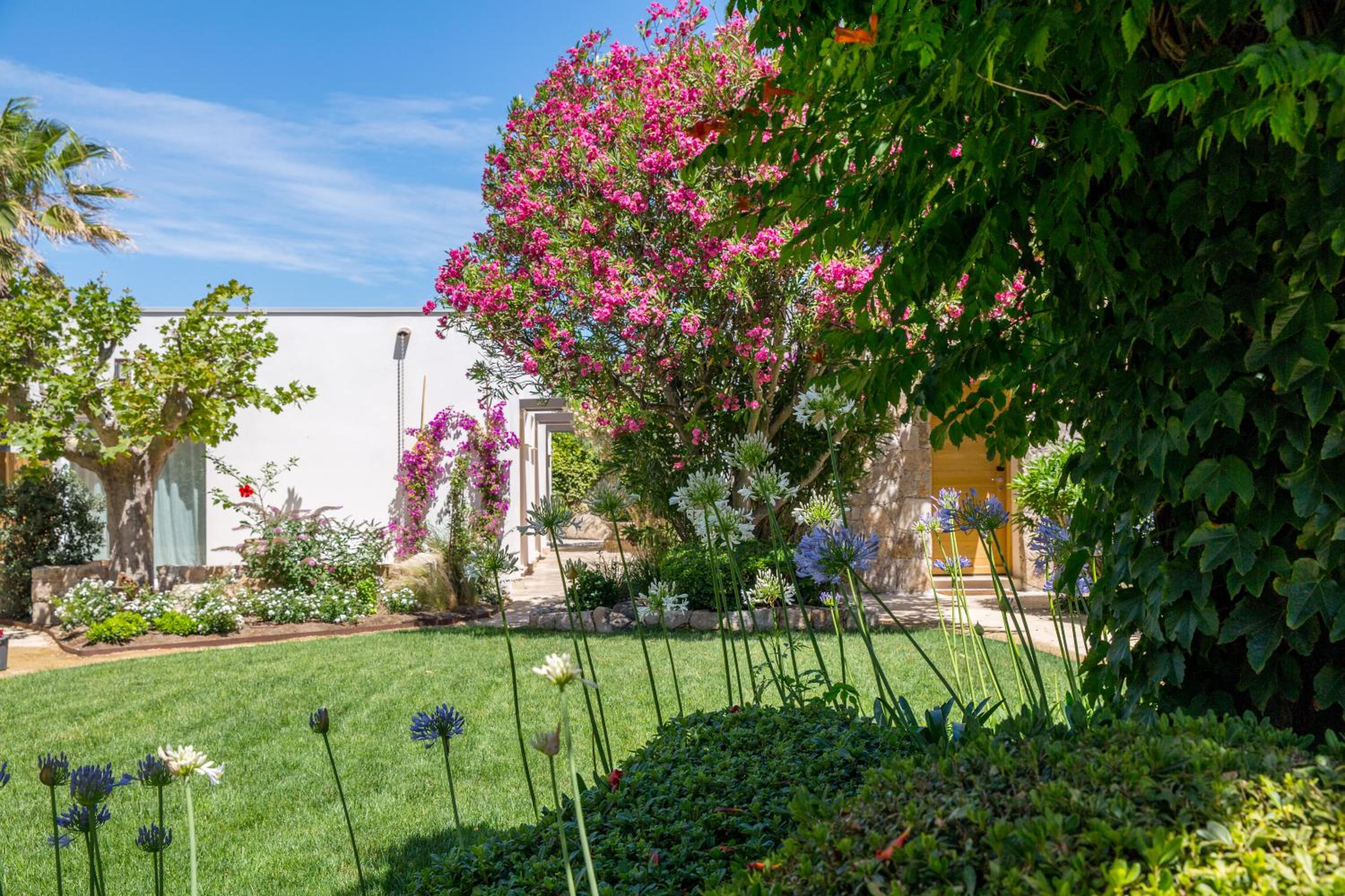garden