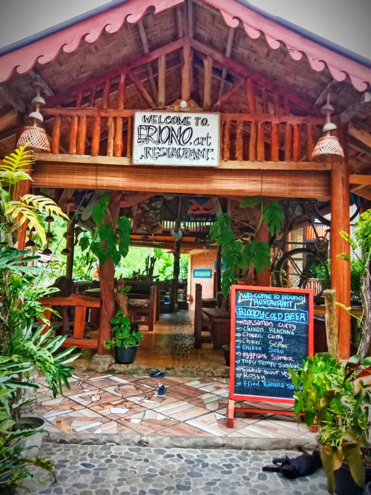 Eriono guest house Bukit lawang view 2