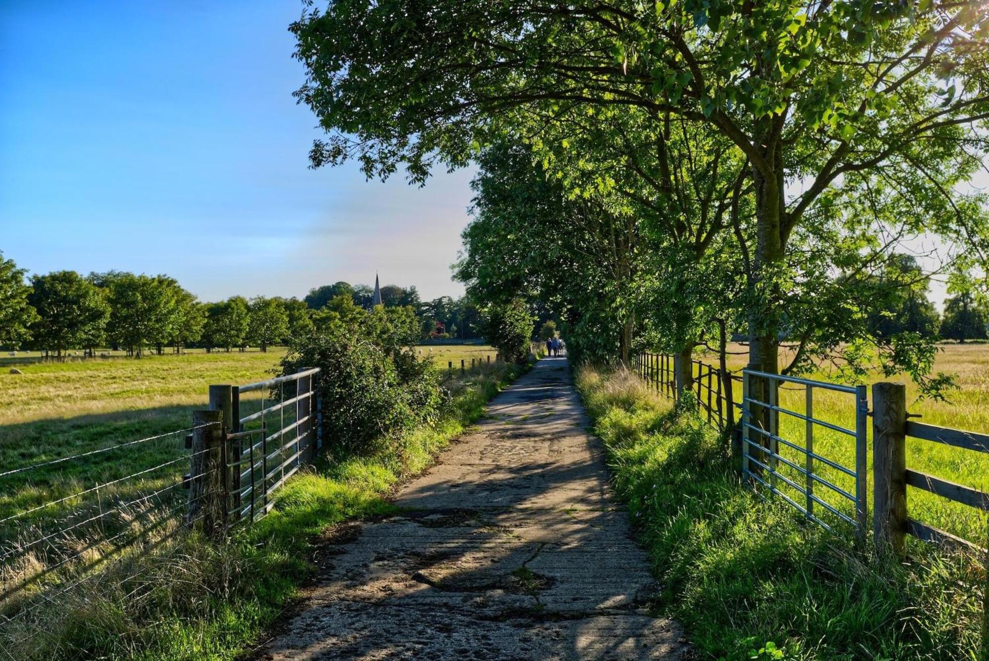 Down Ampney cottage view 4