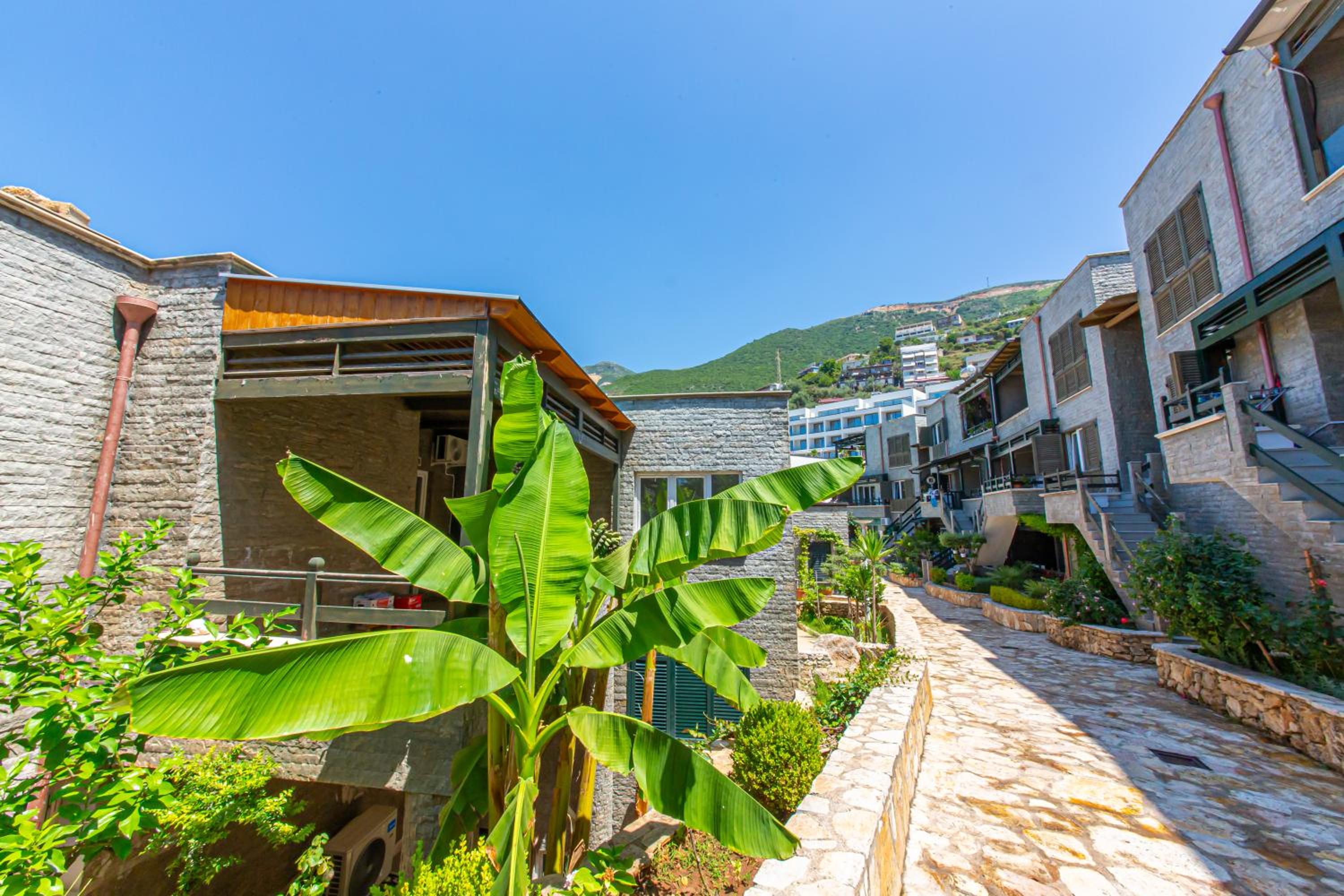 Luxury Villa 1