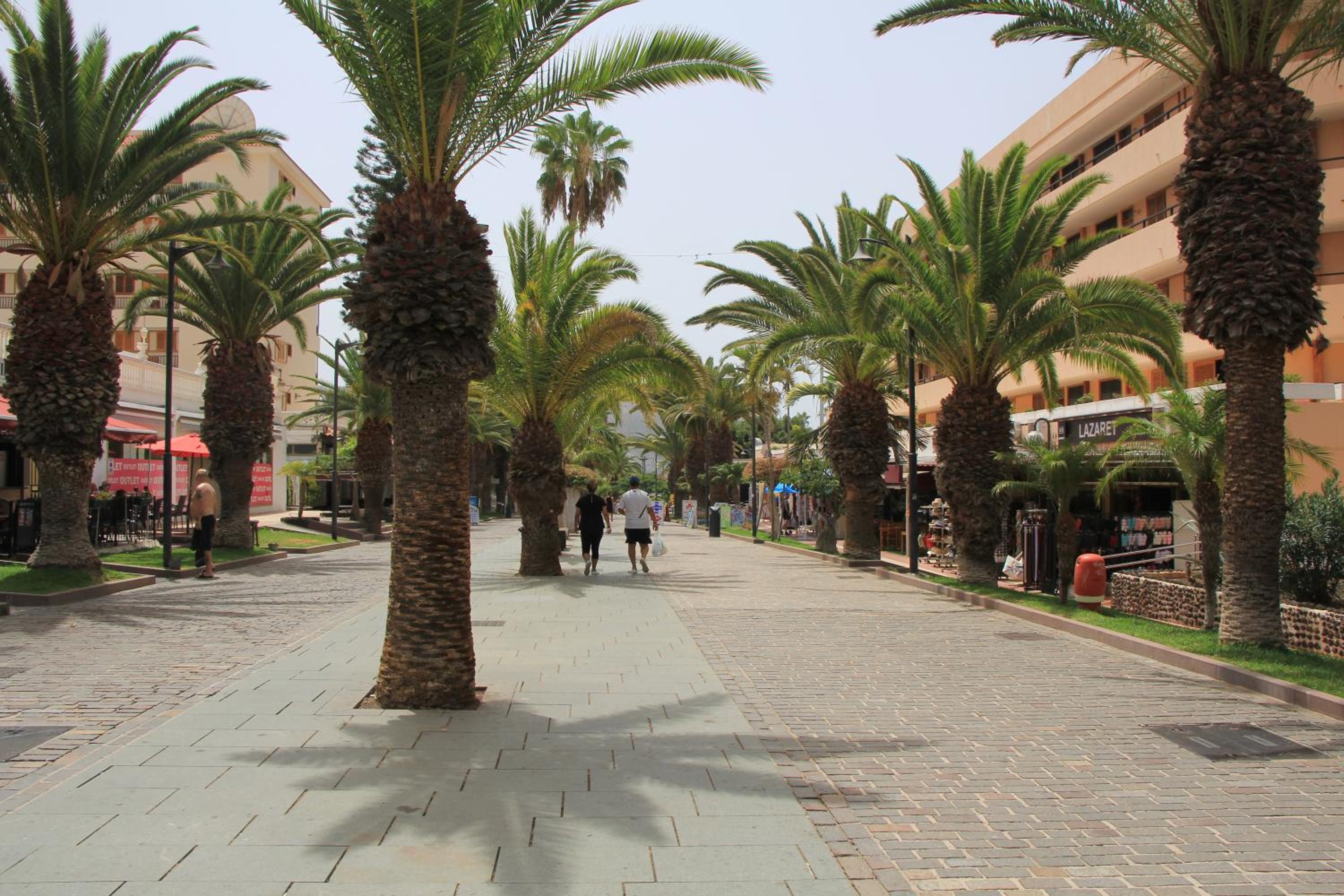 Los Cristianos - 2 bedrooms - Flayla-C