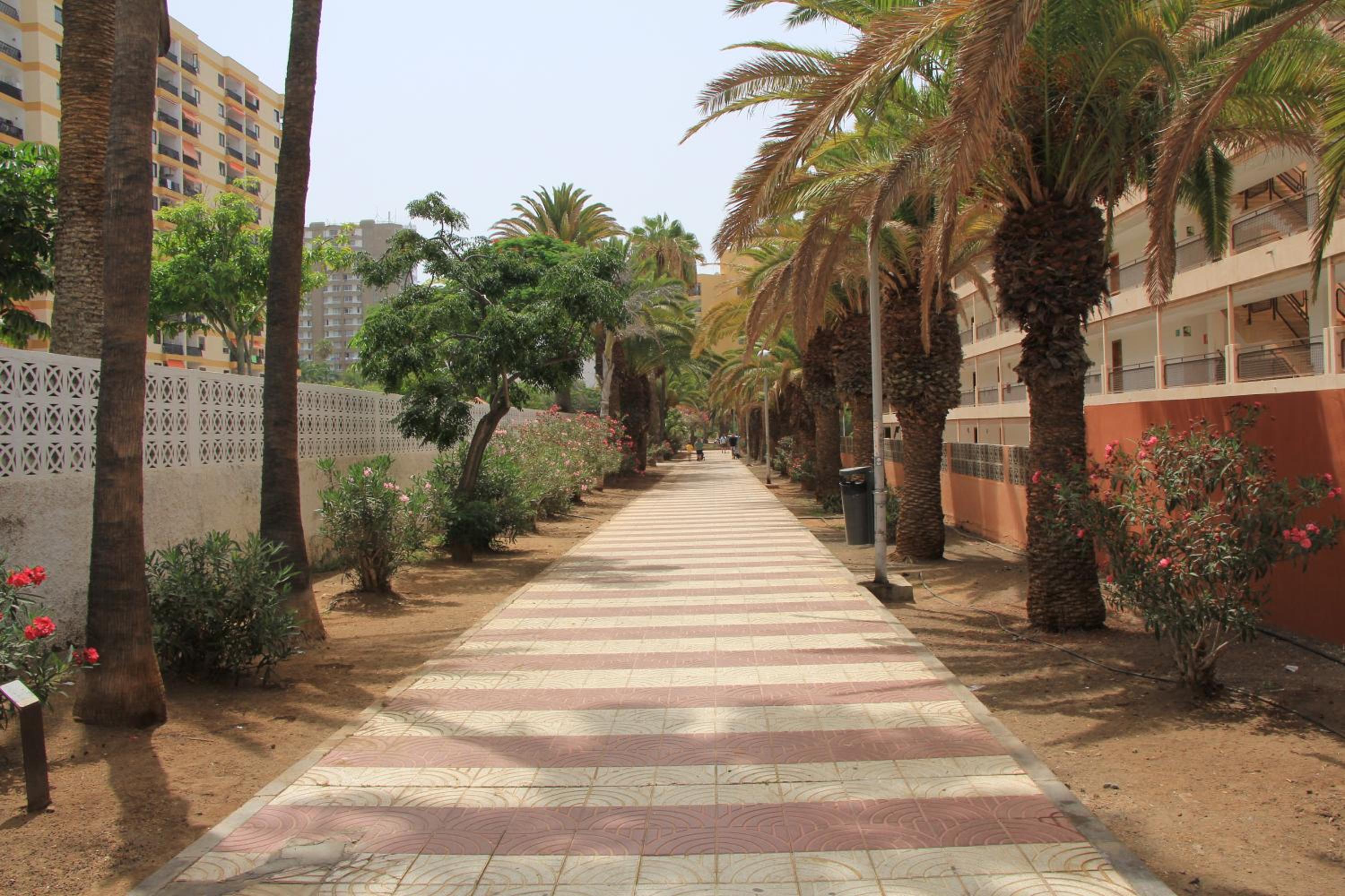 Los Cristianos - 2 bedrooms - Flayla-C
